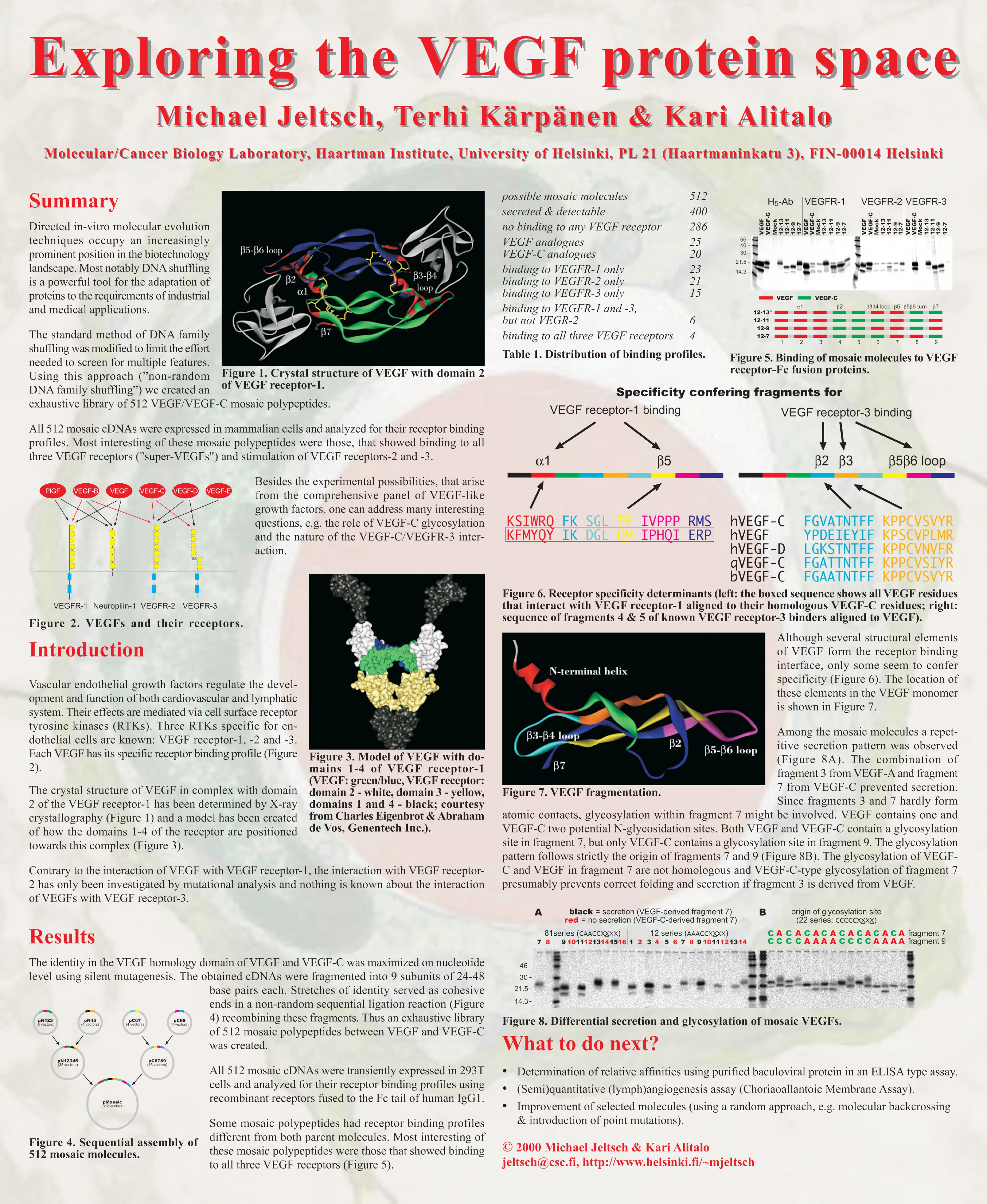 Kloster Seeon Conference (October 1-4, 2000): Exploring the VEGF protein space