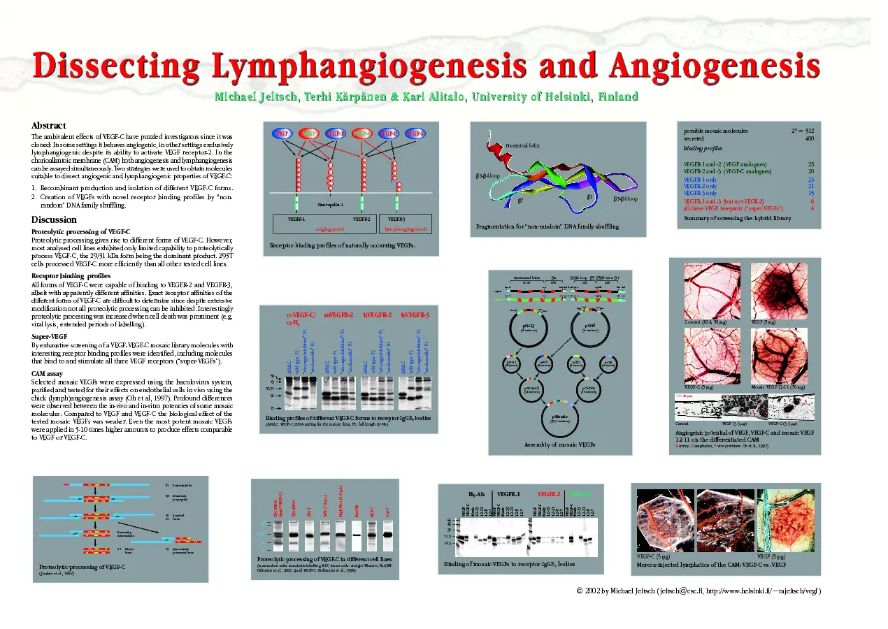 Dissecting Lymphangiogenesis and Angiogenesis