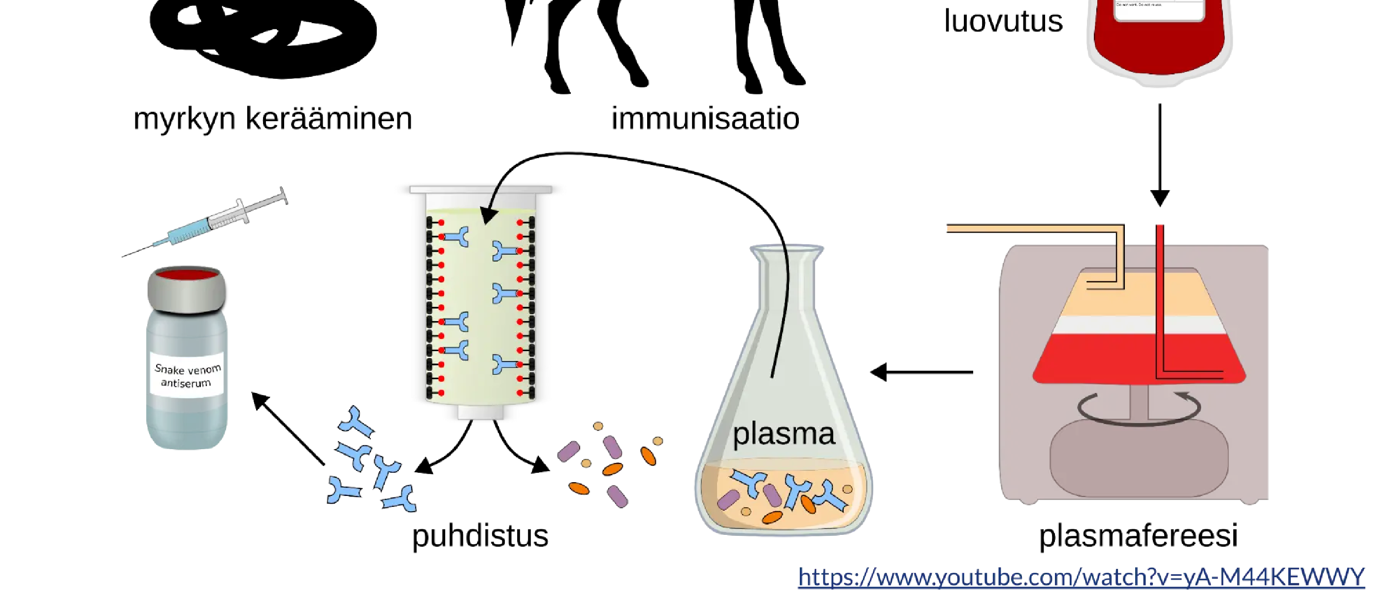 Teaching ”Biological Drugs” in Finnish
