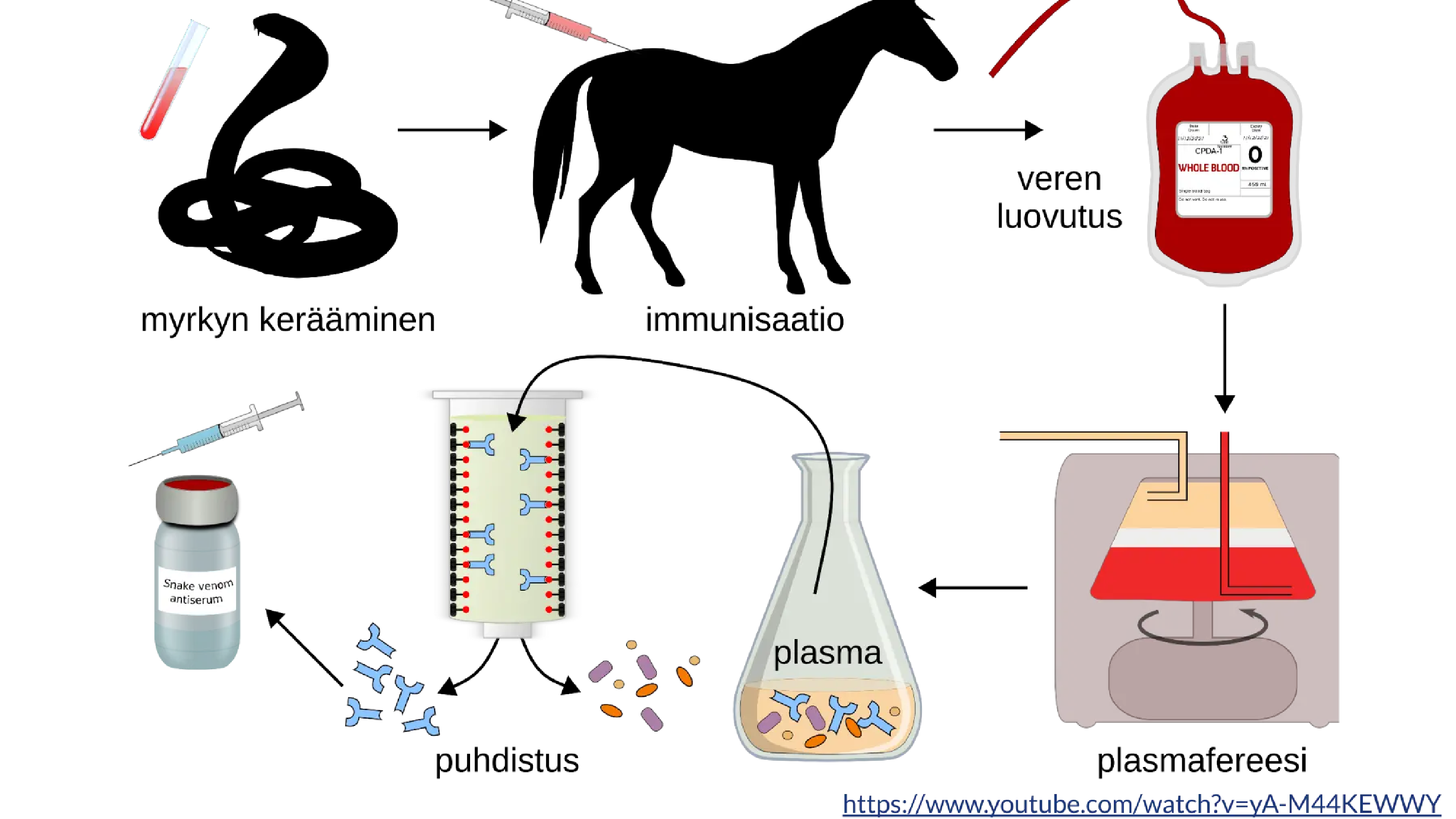 Teaching ”Biological Drugs” in Finnish