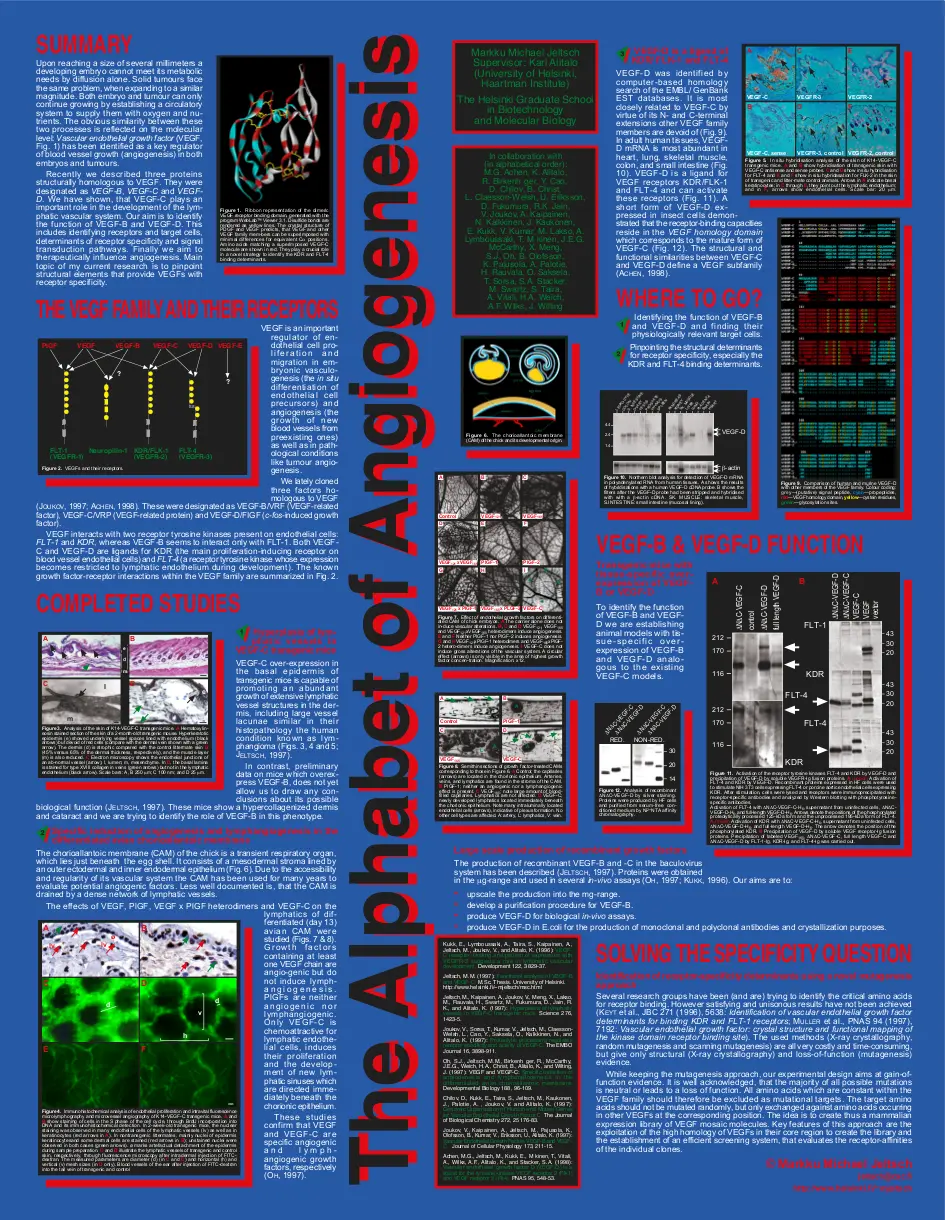 The Alphabet of Angiogenesis
