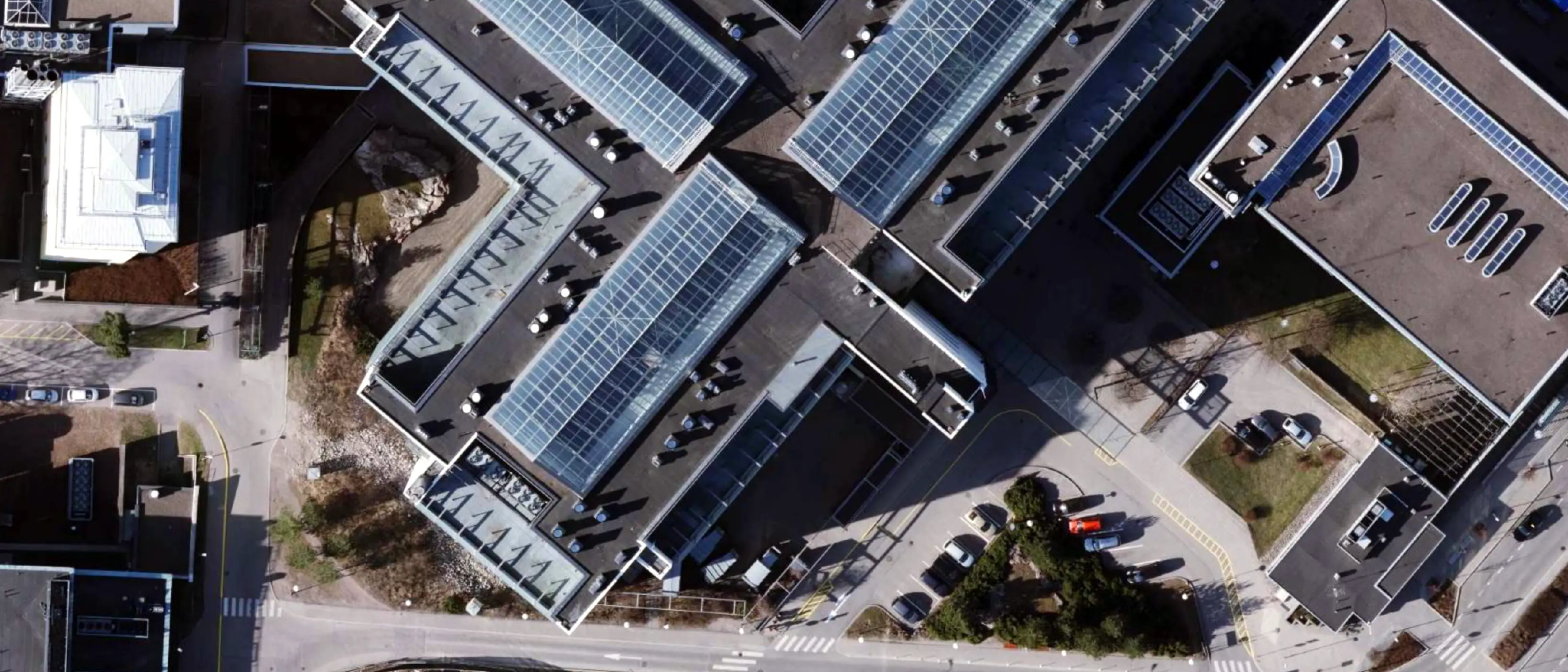 Internationalization in everyday operations at Meilahti campus
