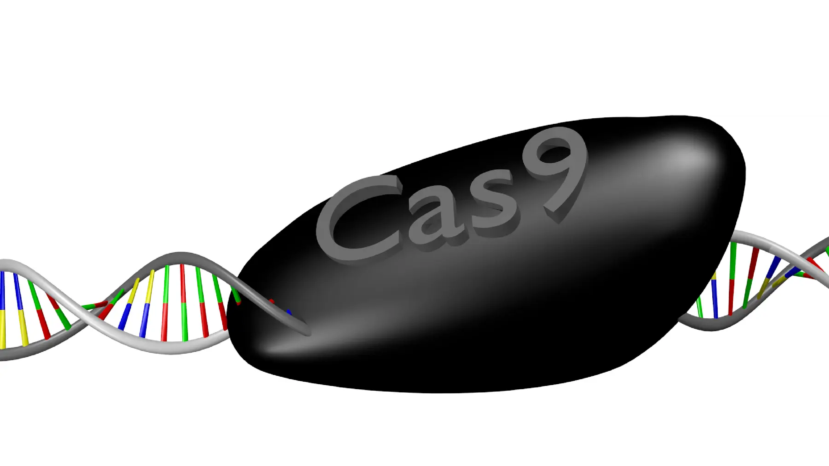 Uncertainty about CRISPR's future