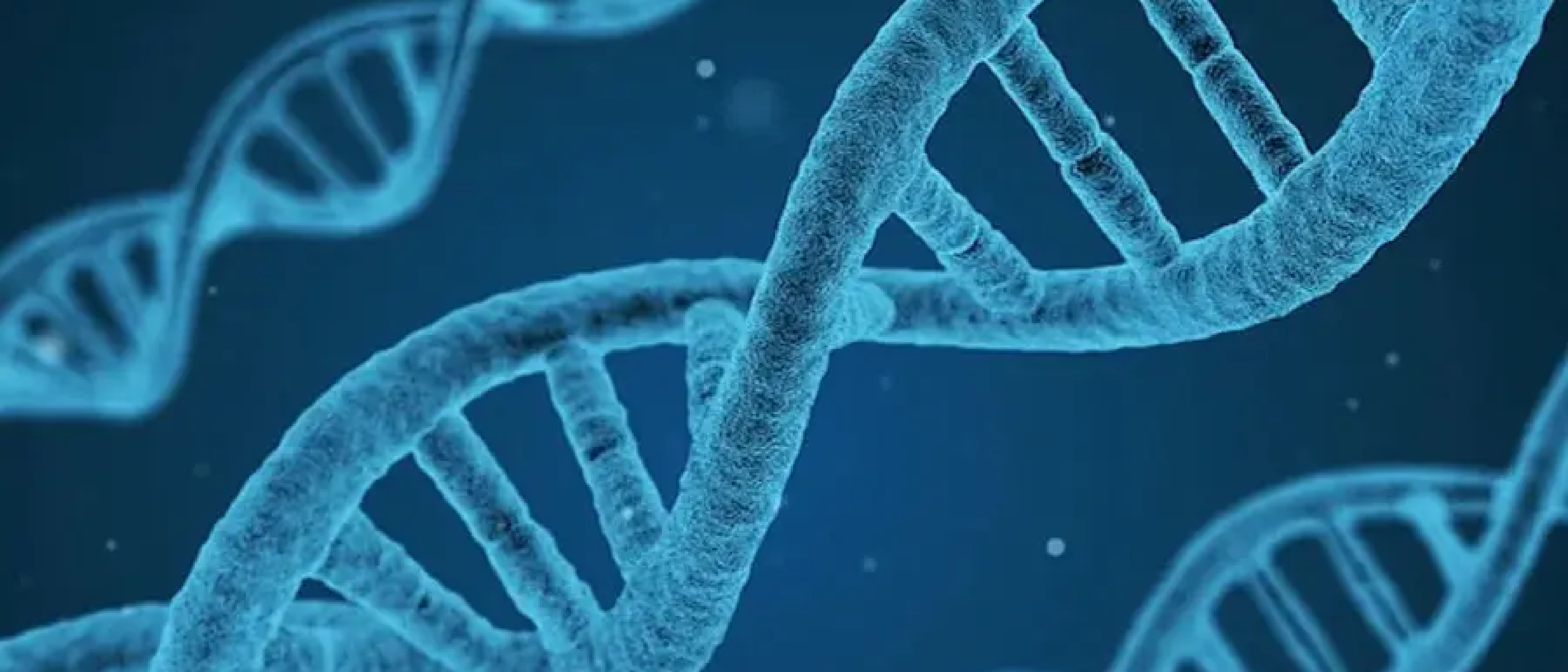 The human genome was just completed (again)