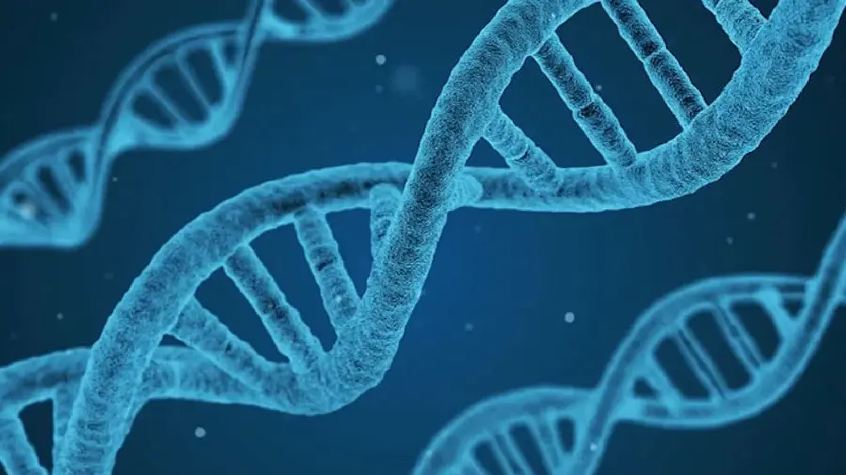 The human genome was just completed (again)