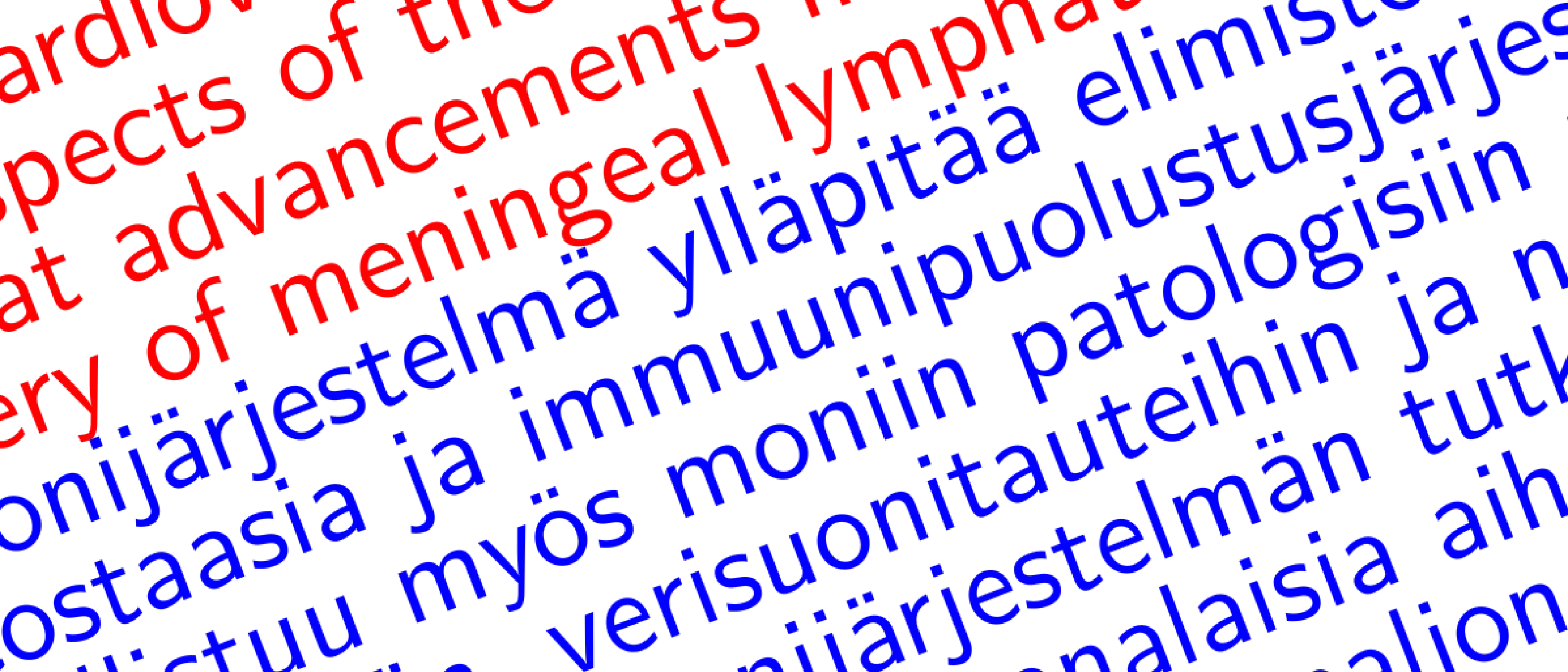 English or Finnish?