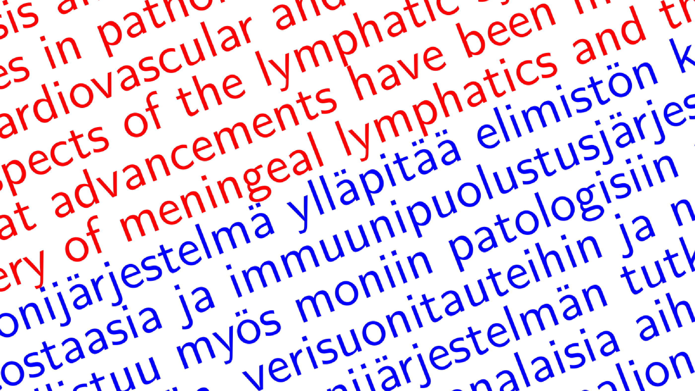 English or Finnish?