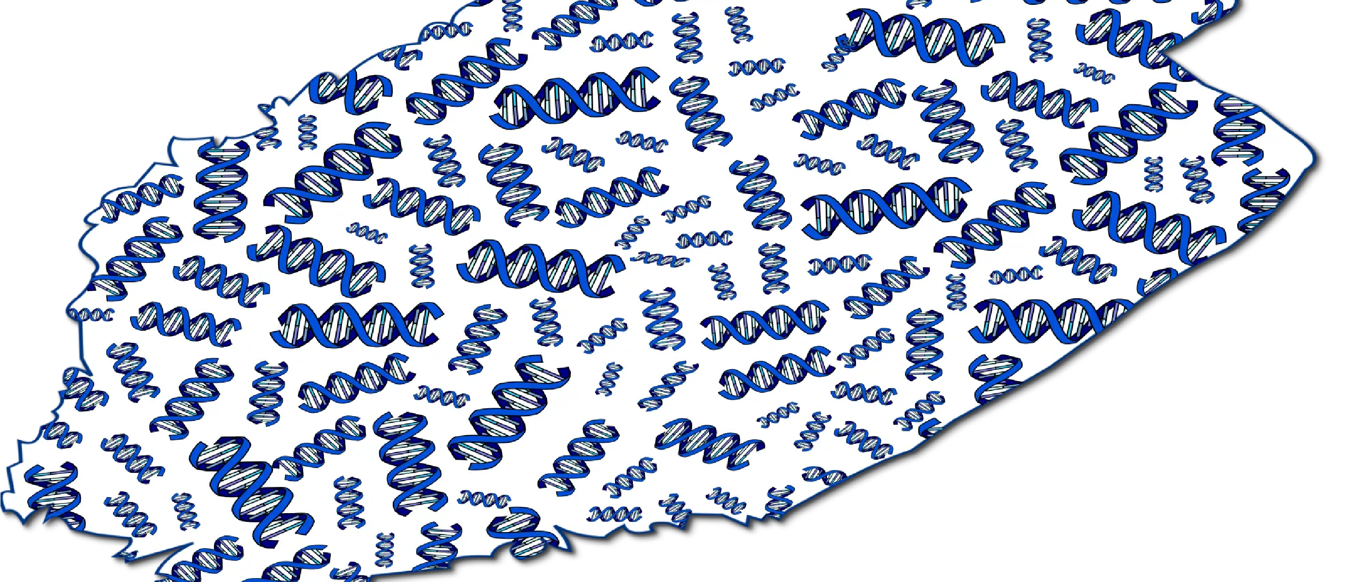 For Science to Finland