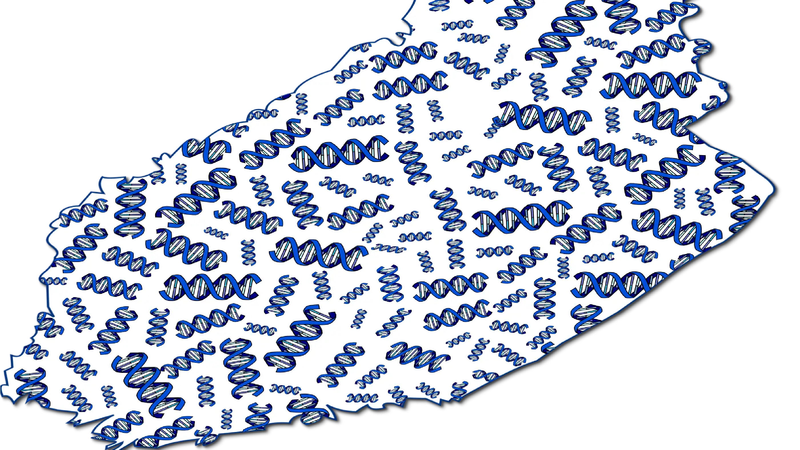 For Science to Finland
