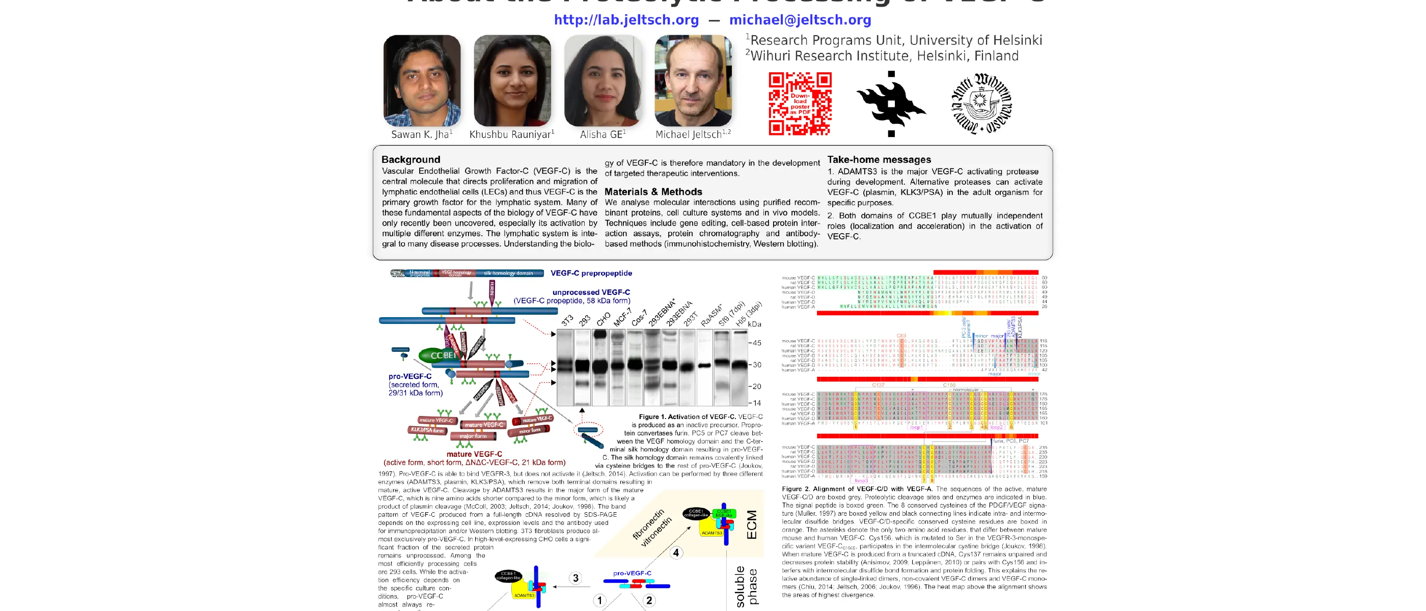 IVBM 2018 & 2020 (poster, talk, and virtual poster walk through)