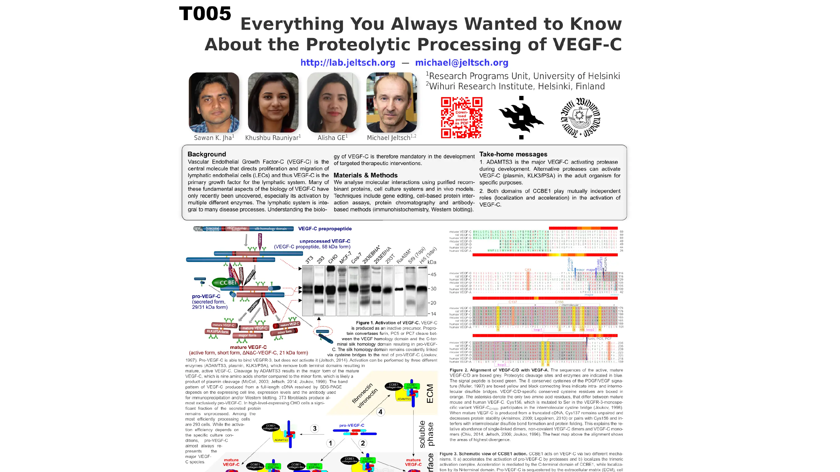 IVBM 2018 & 2020 (poster, talk, and virtual poster walk through)