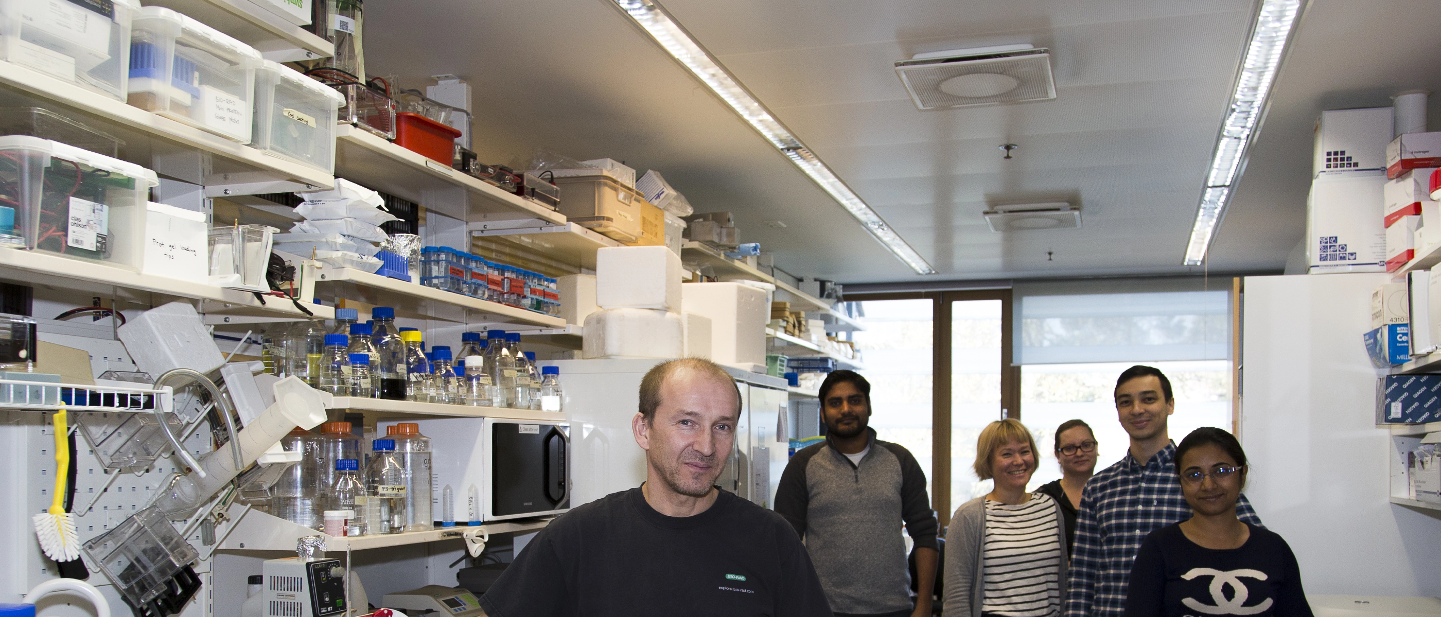Acatiimi article about our lab