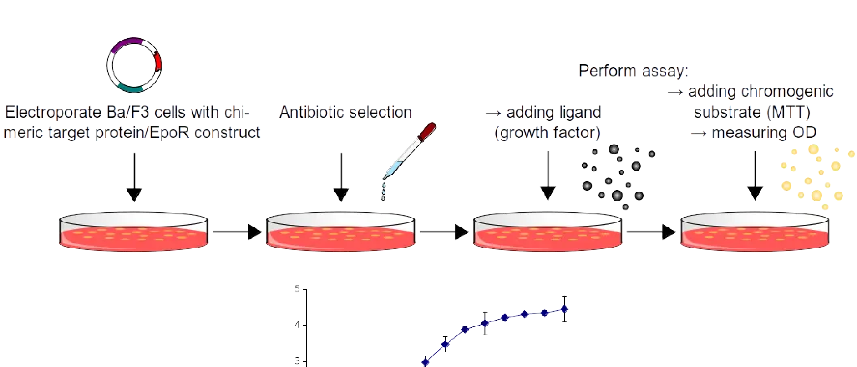 Cell-based assays (Protein Interaction Biochemistry 2018)