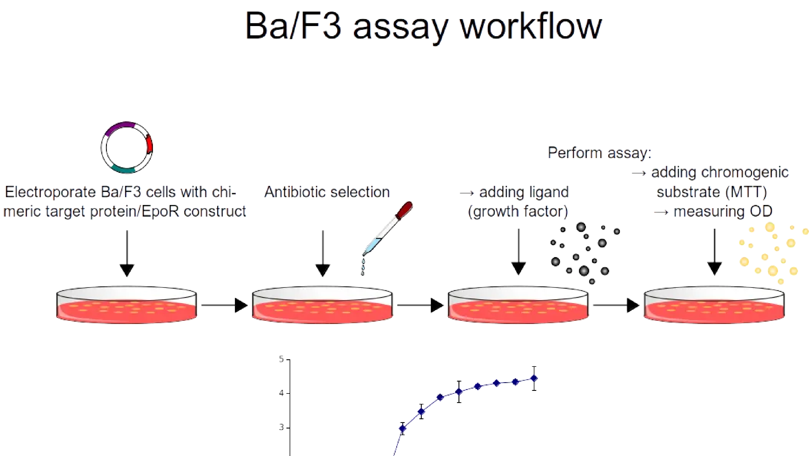 Cell-based assays (Protein Interaction Biochemistry 2018)