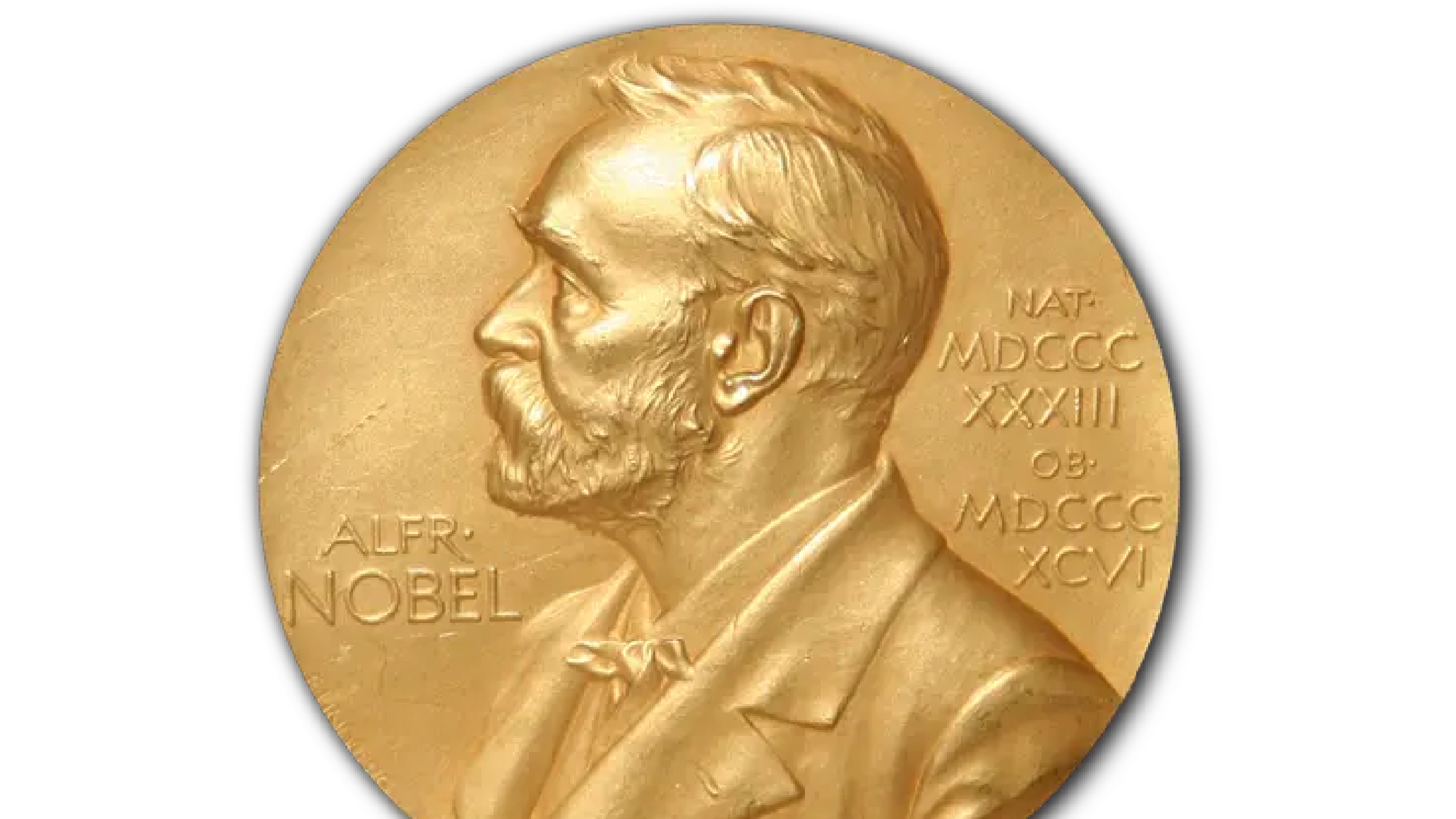 This year's Nobel prizes