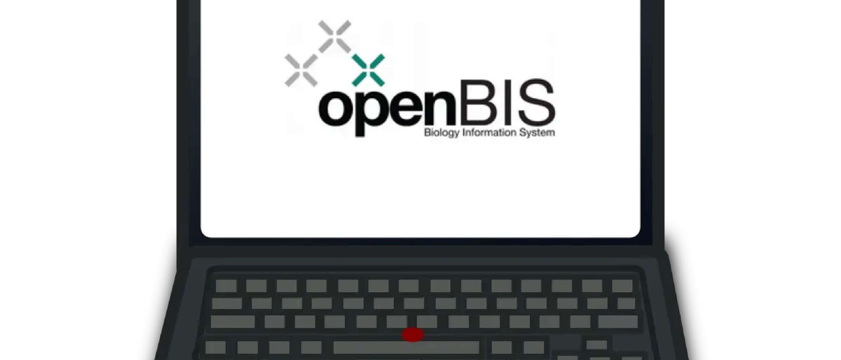 OpenBIS for Dummies