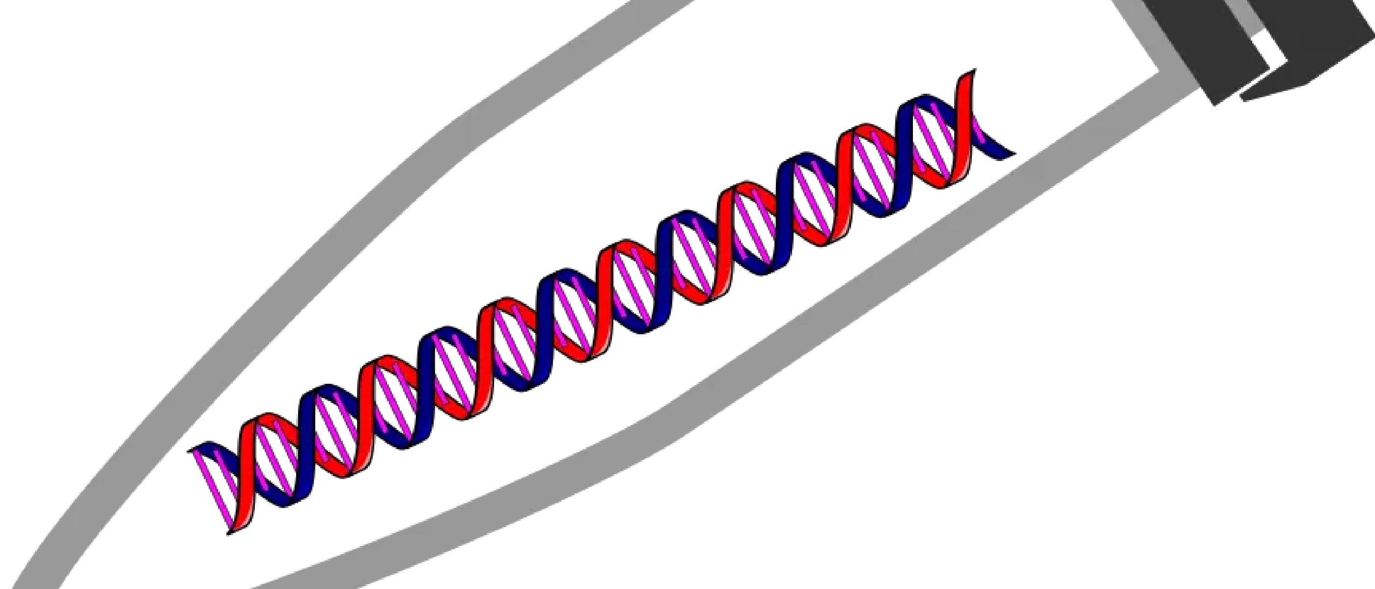 How much PCR product can you get?