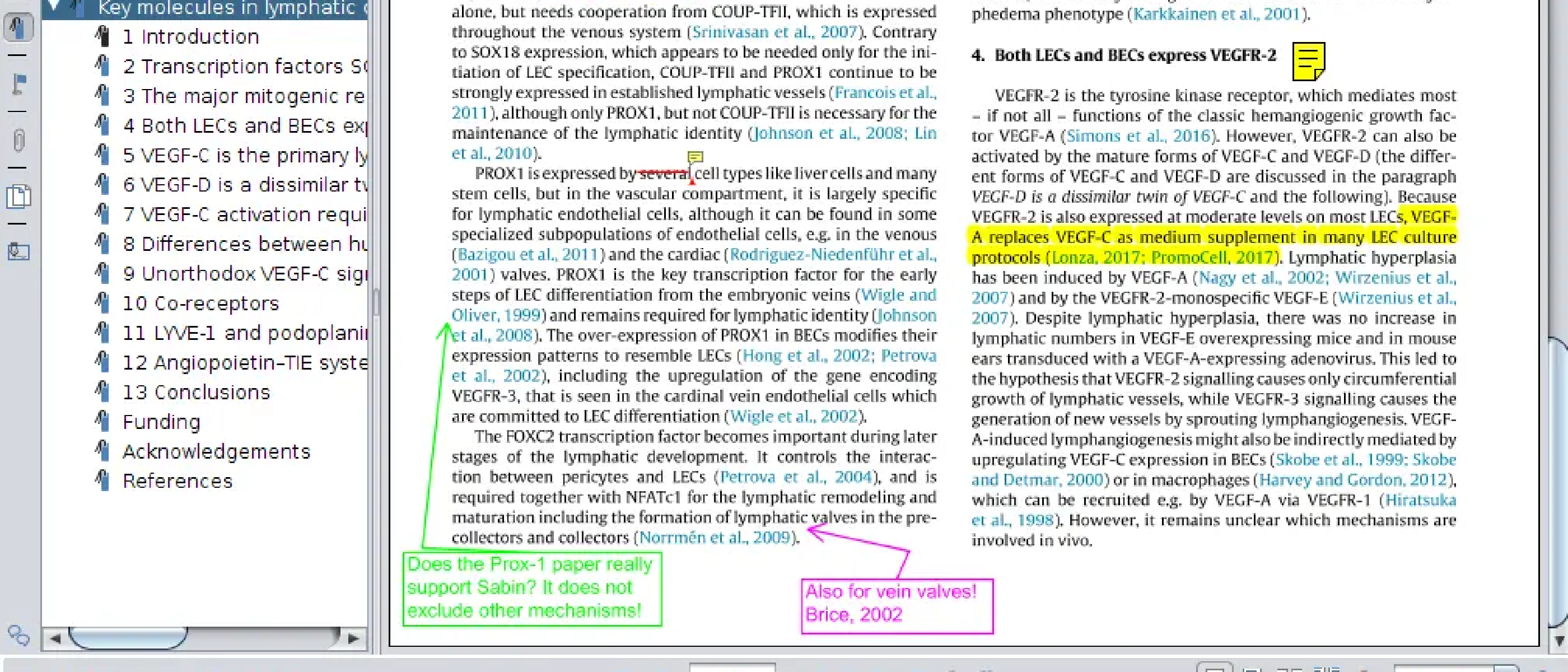 Ḿanuscript reviewing by annotating PDFs
