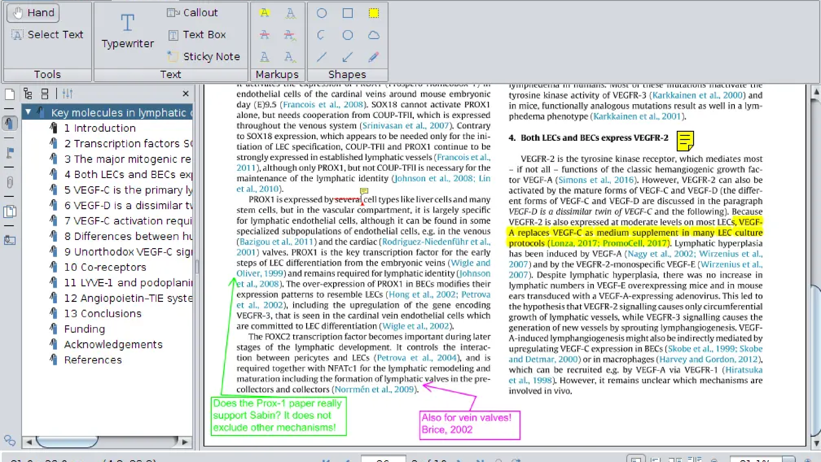 Ḿanuscript reviewing by annotating PDFs