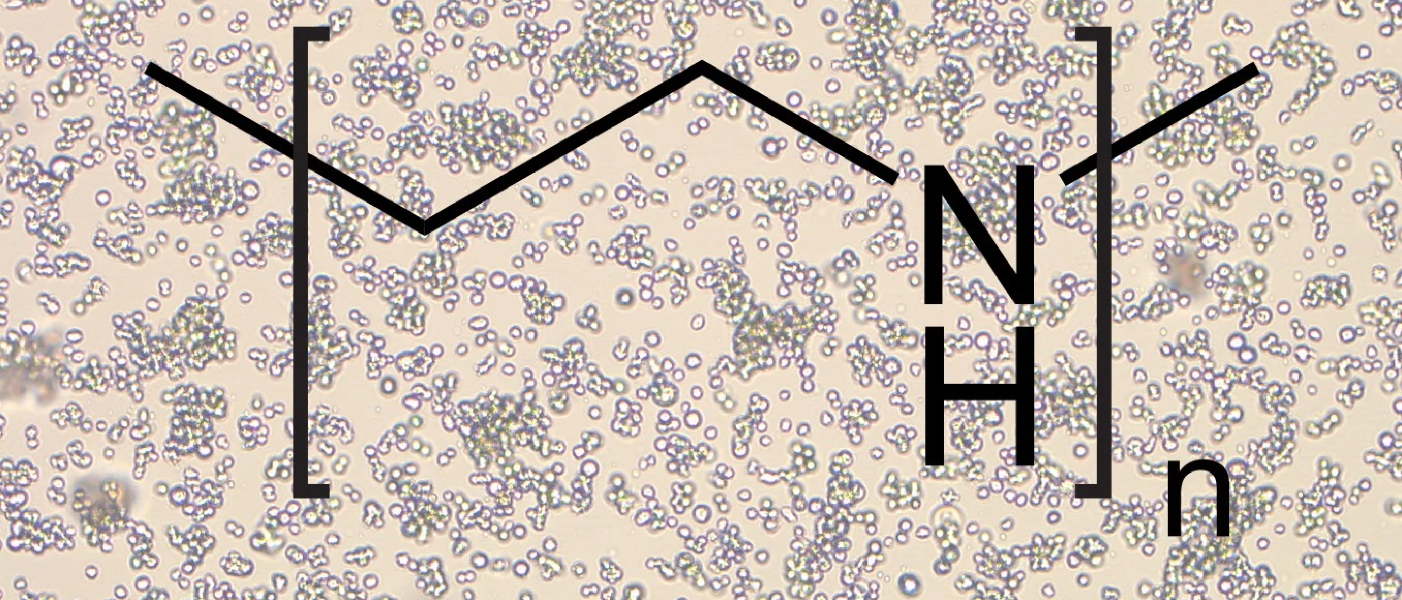 JetPEI transfection of insect cells