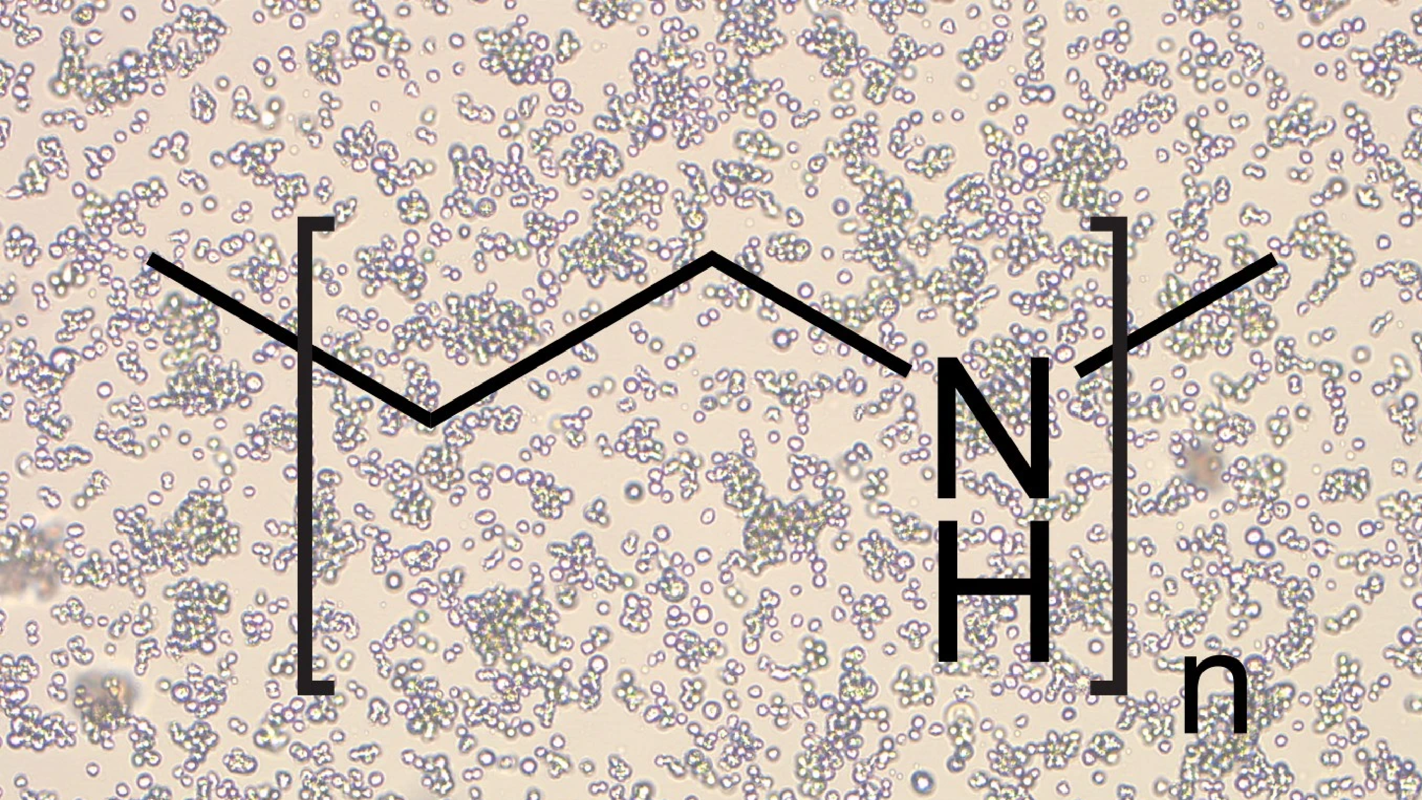 JetPEI transfection of insect cells