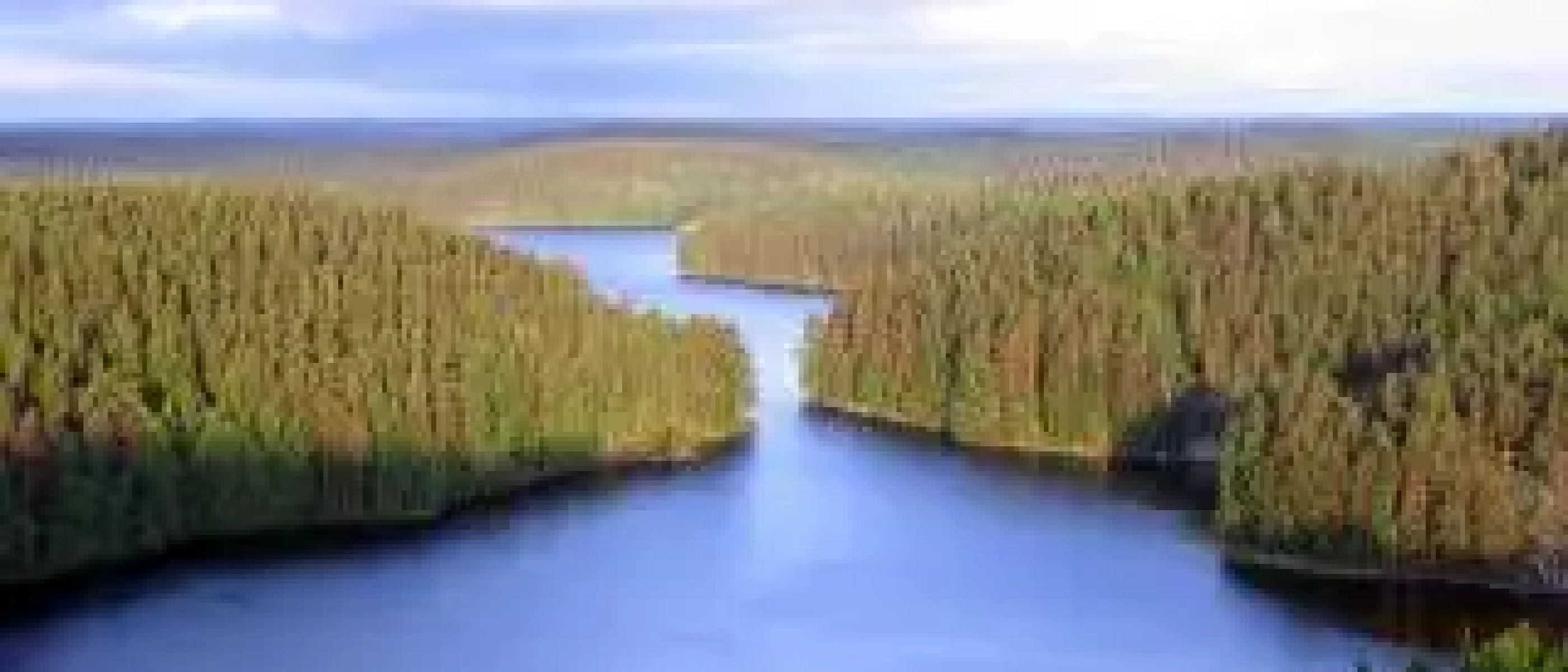 Statistics about Finland