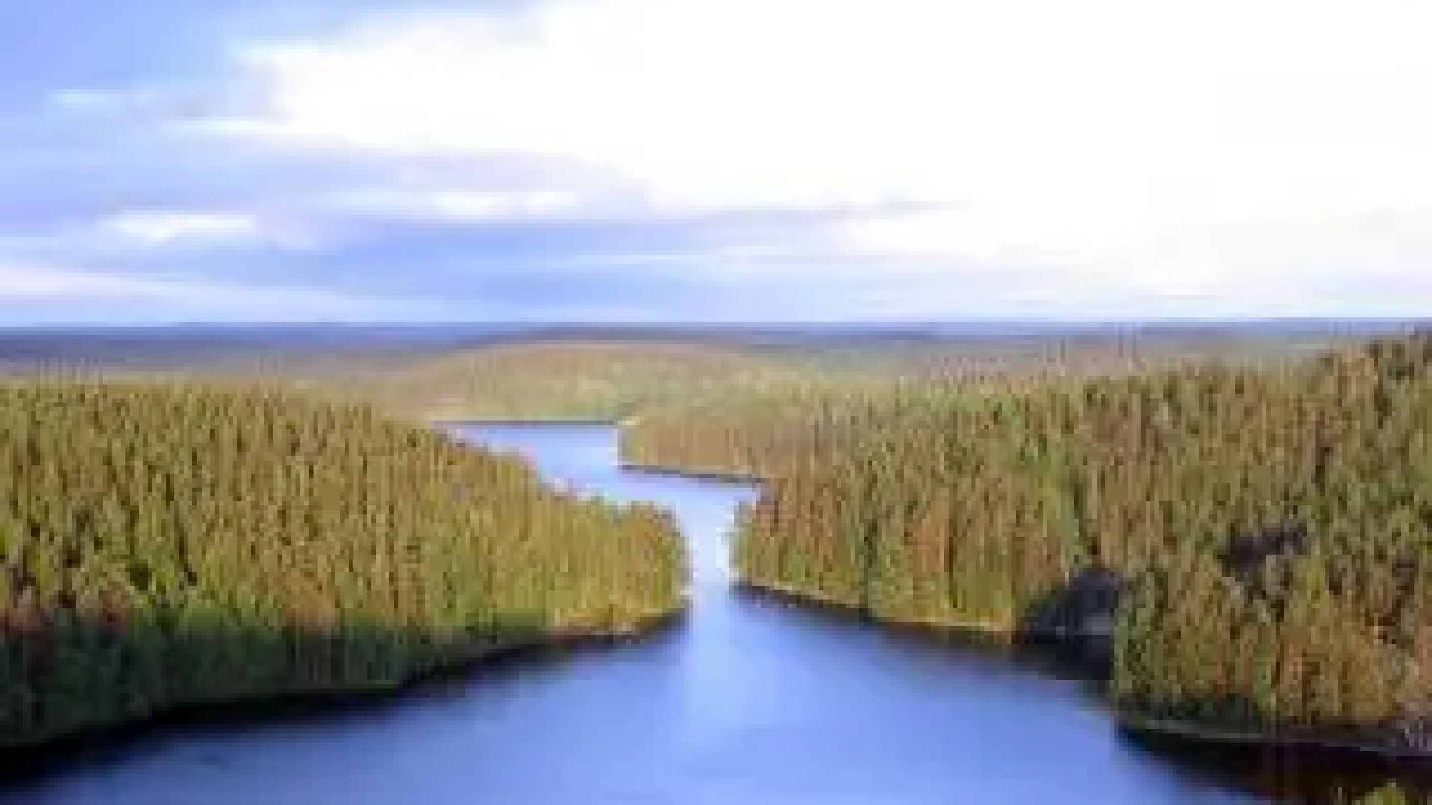 Statistics about Finland