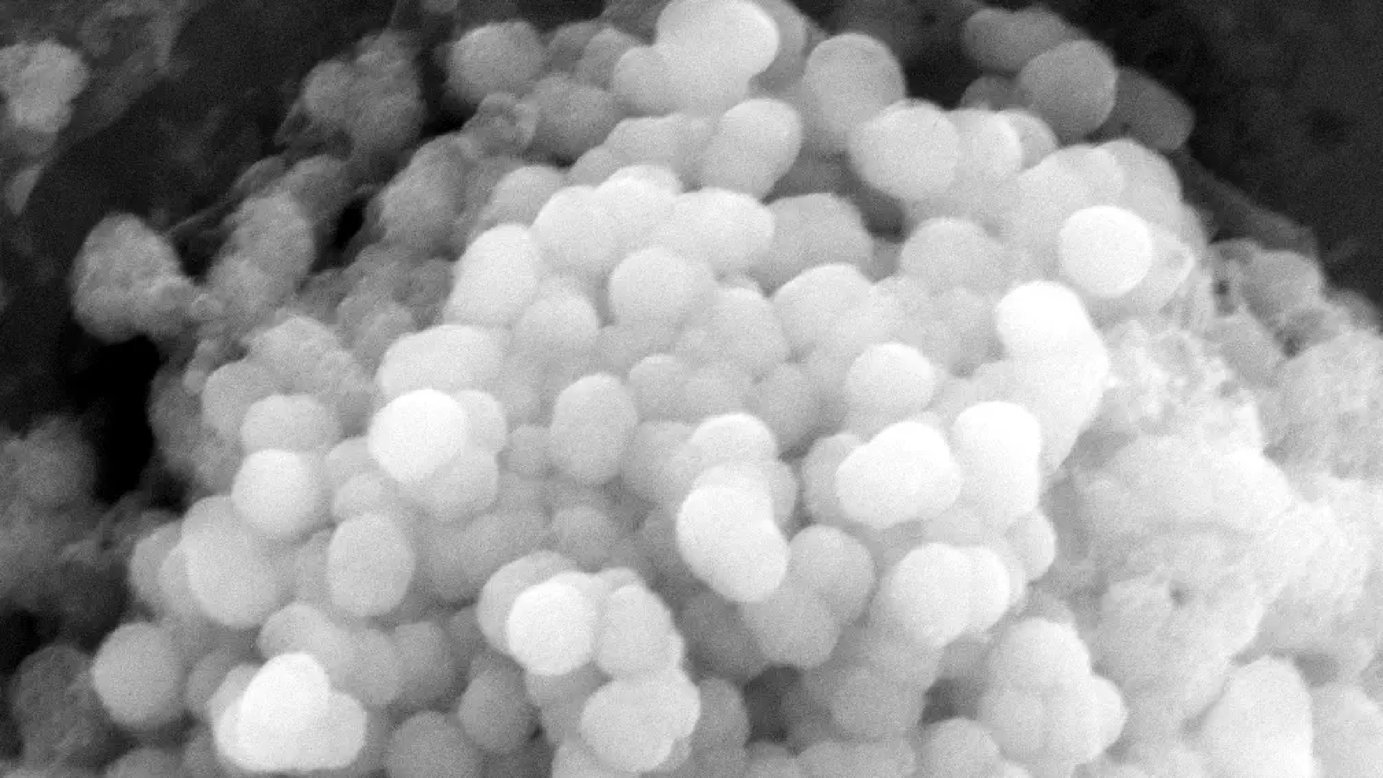 VEGFC-loaded Lignin Nanoparticles