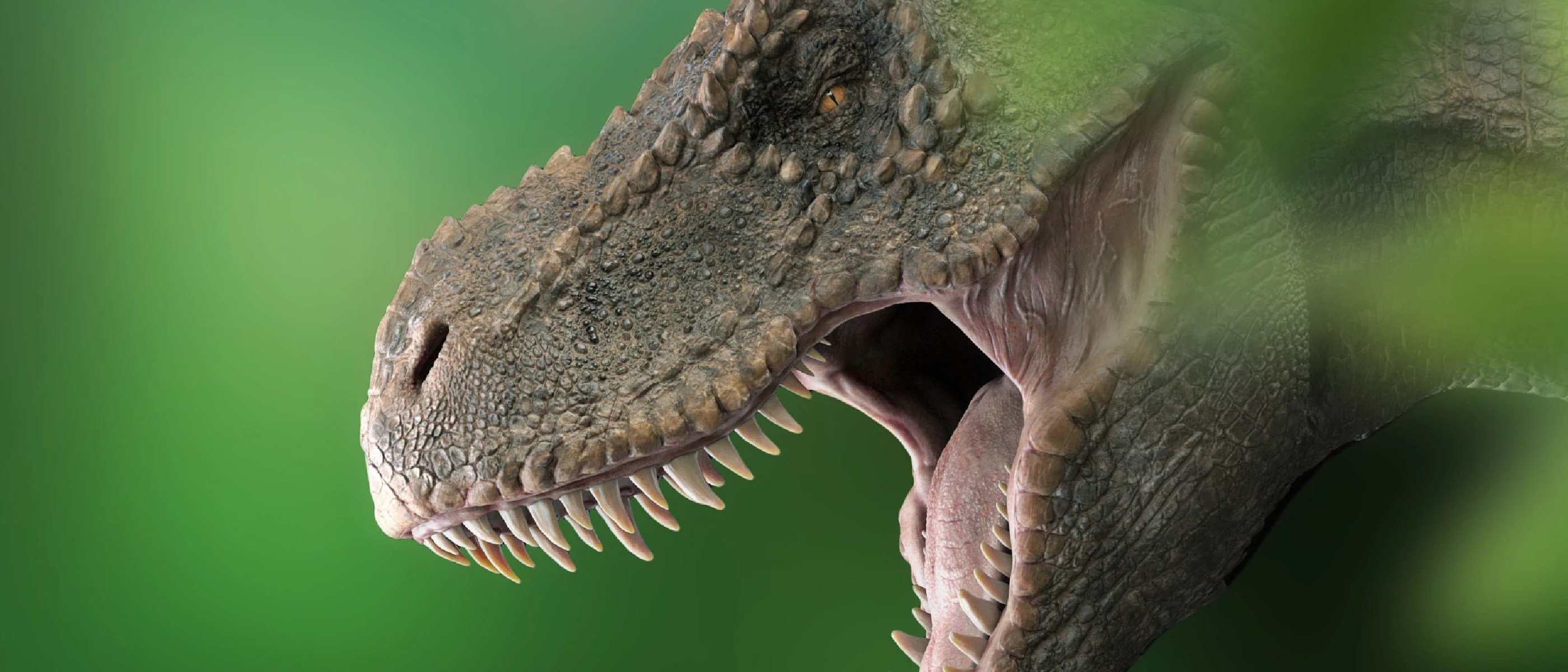 OMG: T. rex did not have VEGF-B!