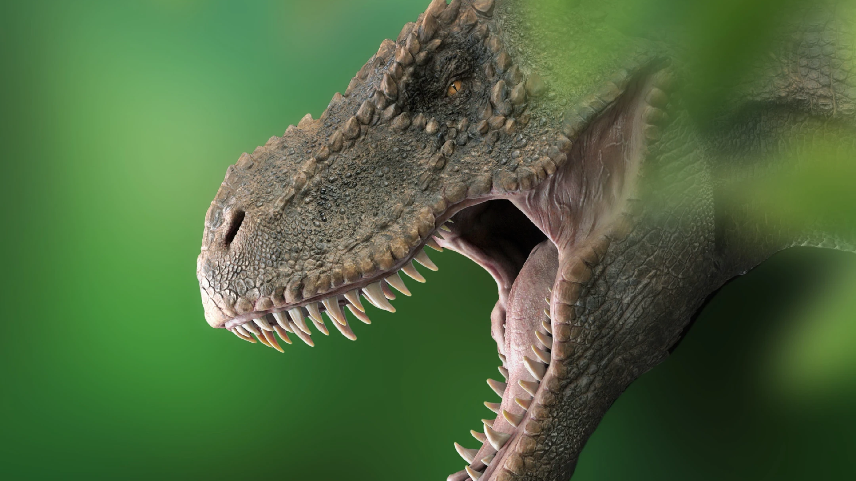 OMG: T. rex did not have VEGF-B!
