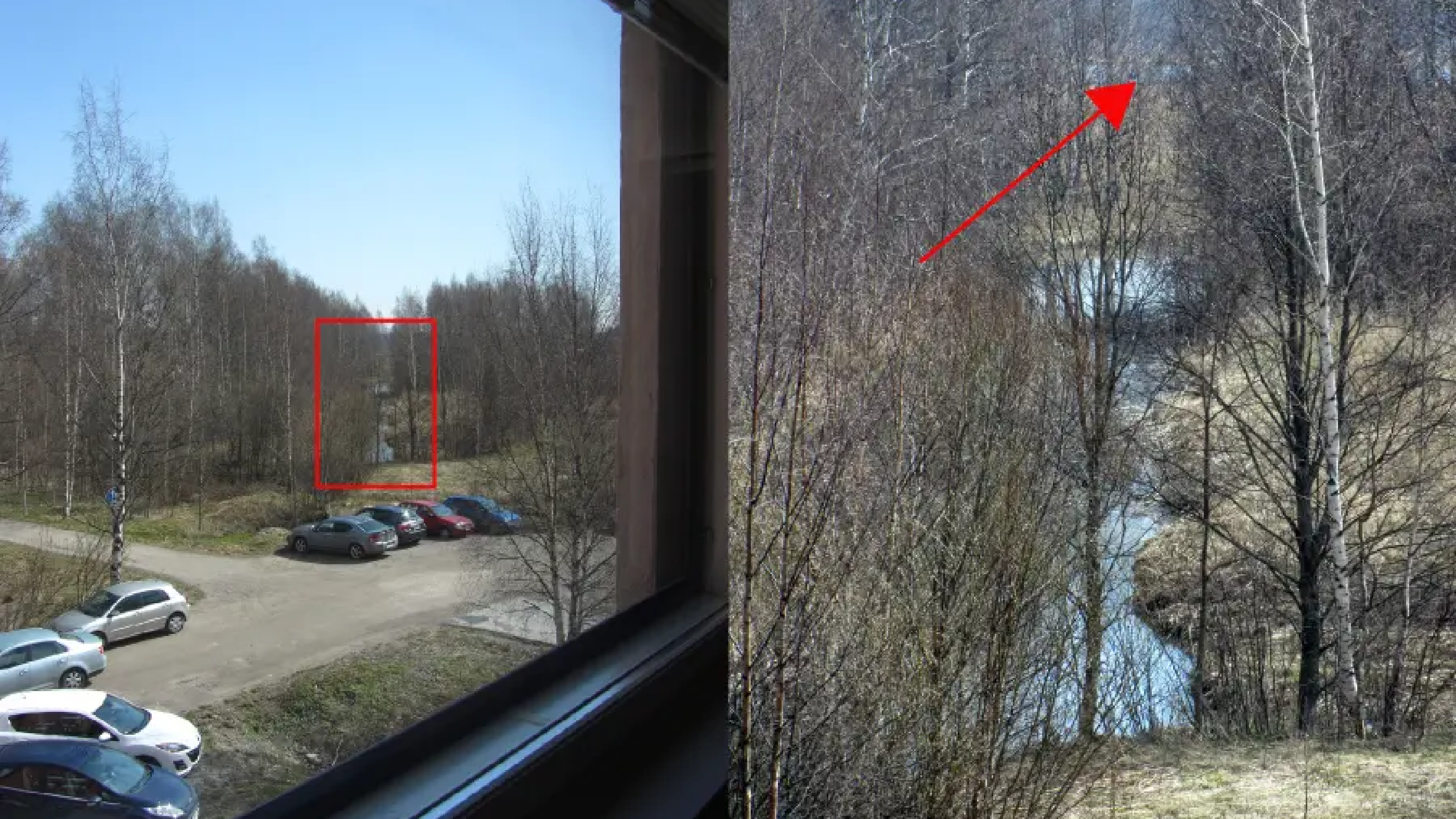 A view to the Baltic sea