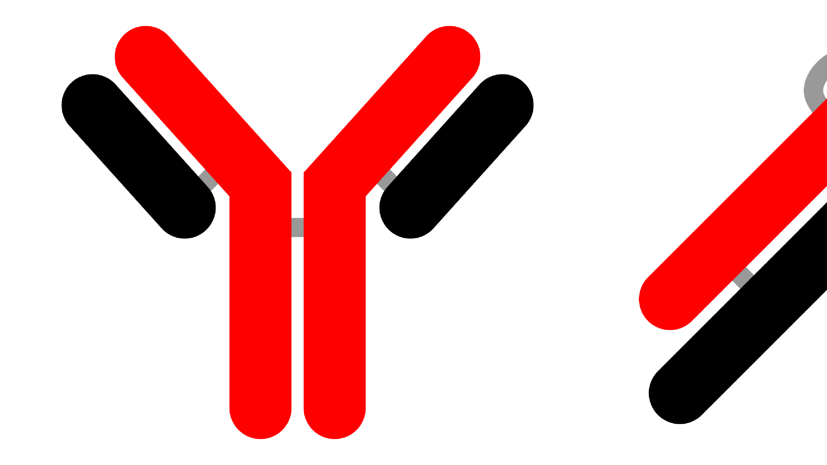 Learning and Teaching Materials about Biological Drugs