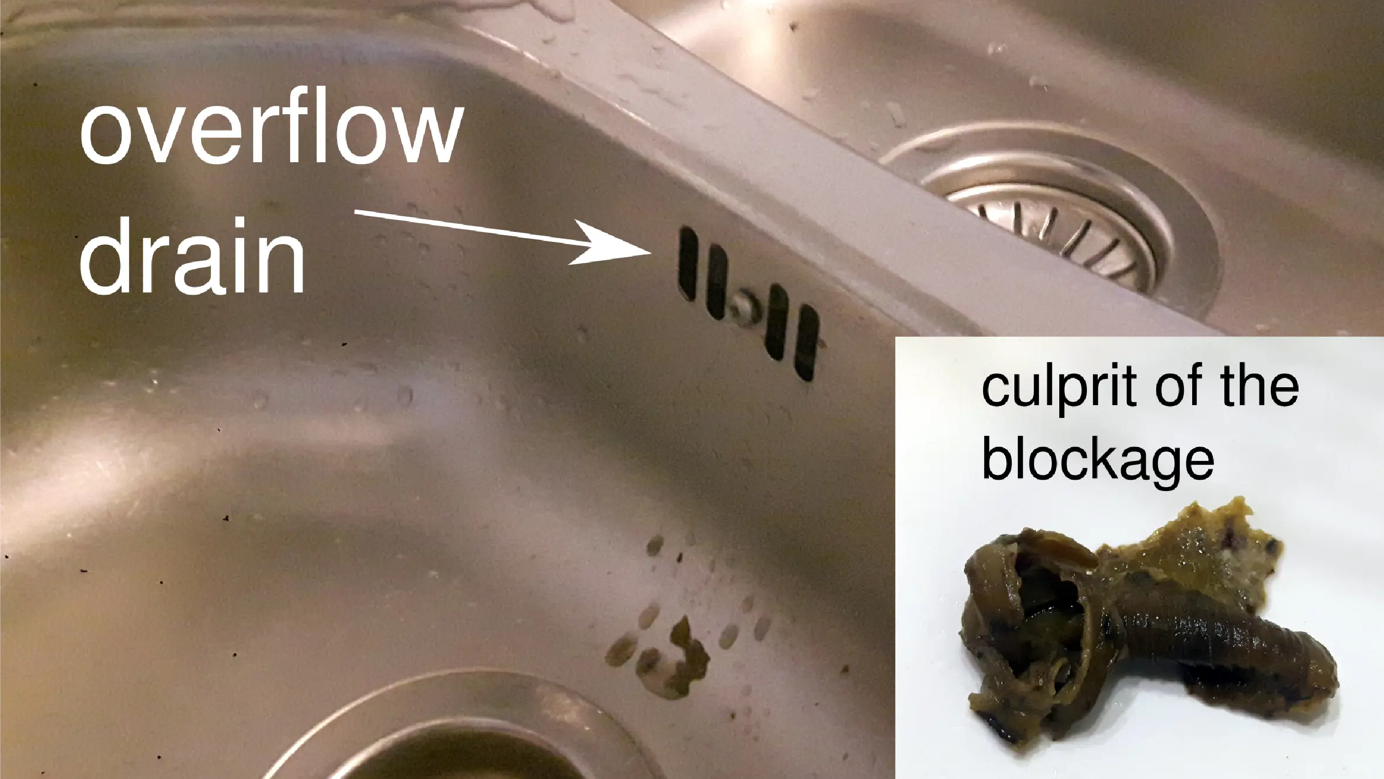 Fat can make your arteries clog, but also the drainage of your kitchen sink
