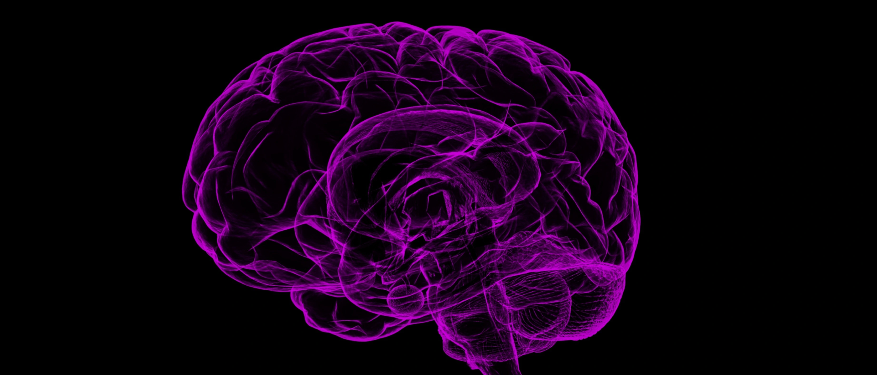 AI: Medically trained models, consciousness