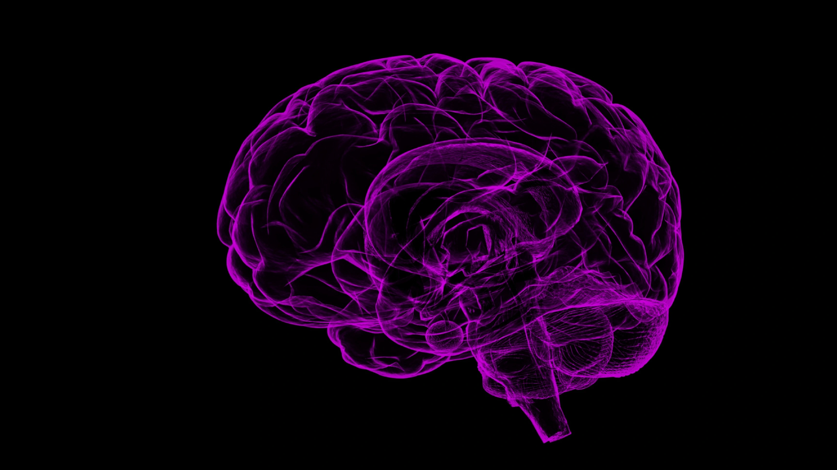 AI: Medically trained models, consciousness