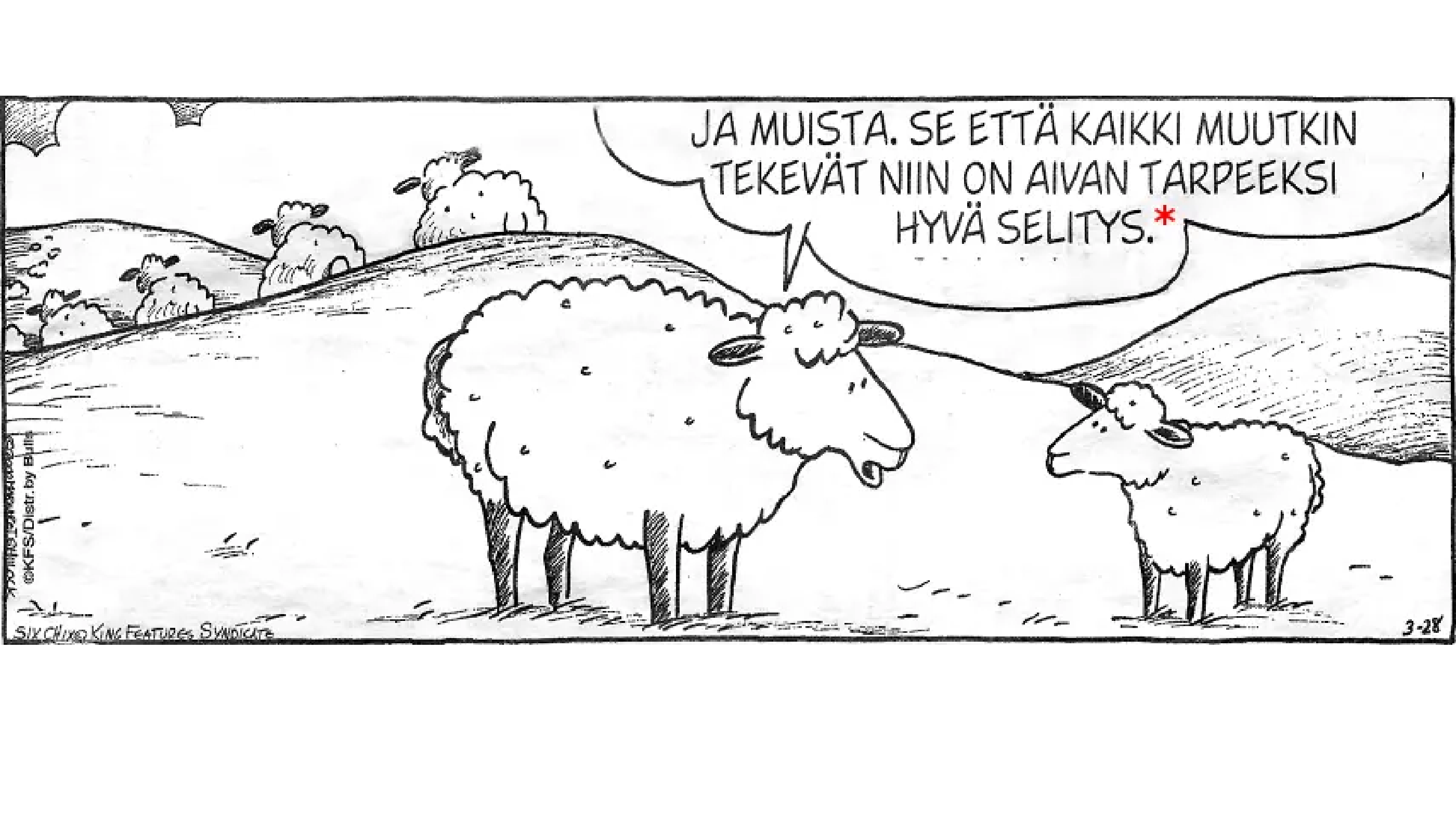 Sheep