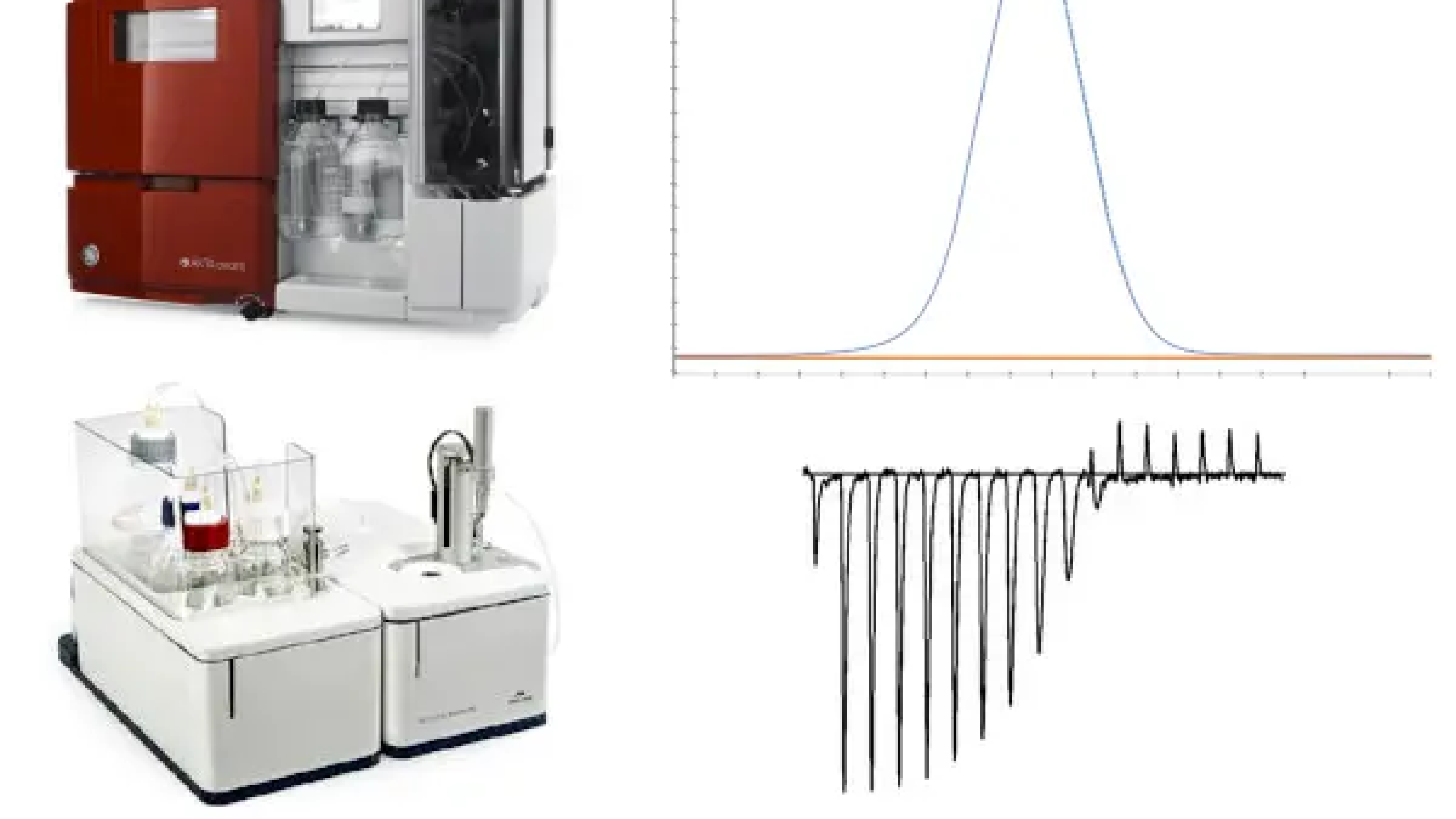 Practical Course: Purification and Characterization of Recombinant Proteins (DPBM-135)