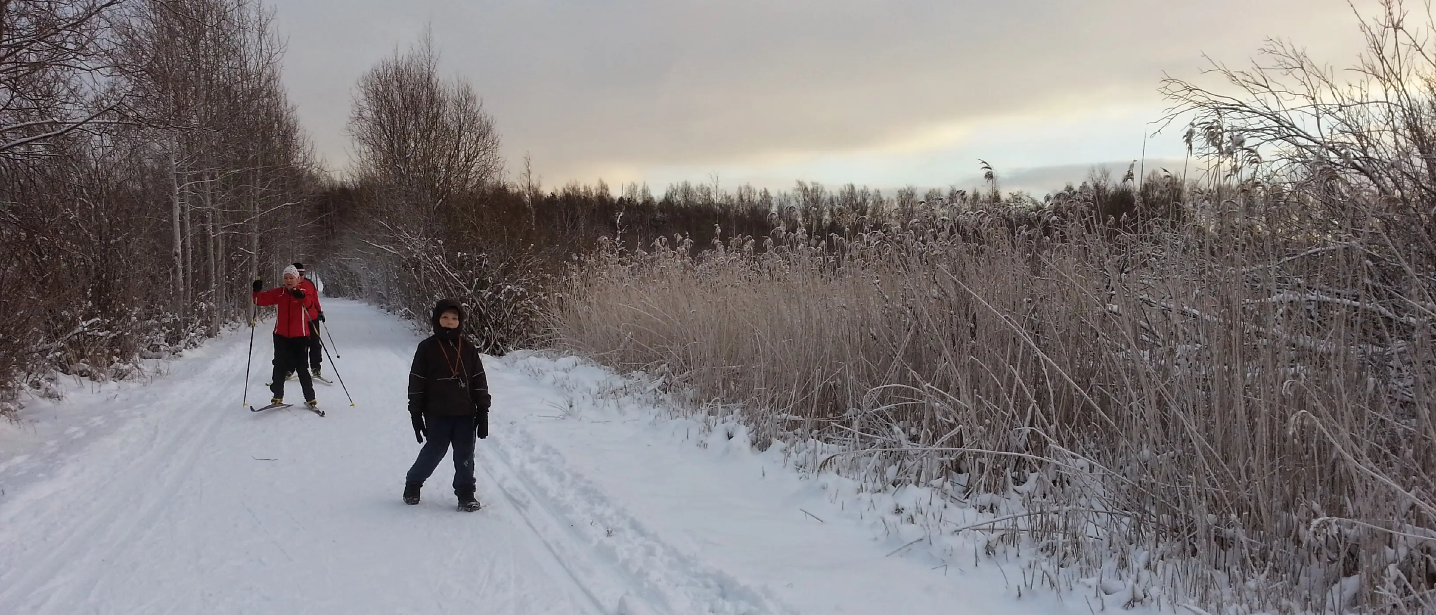 Finland: Paradise for cross-country skiing