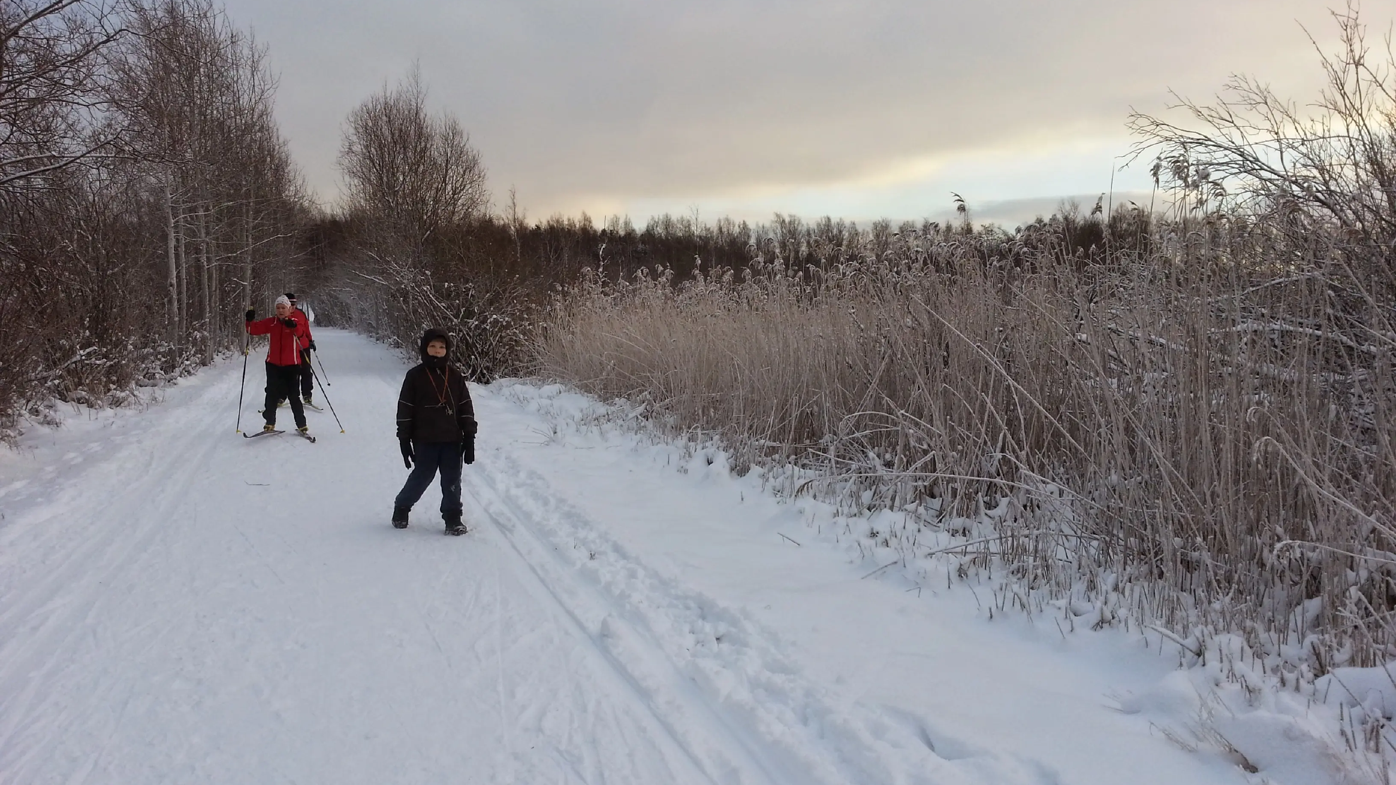 Finland: Paradise for cross-country skiing
