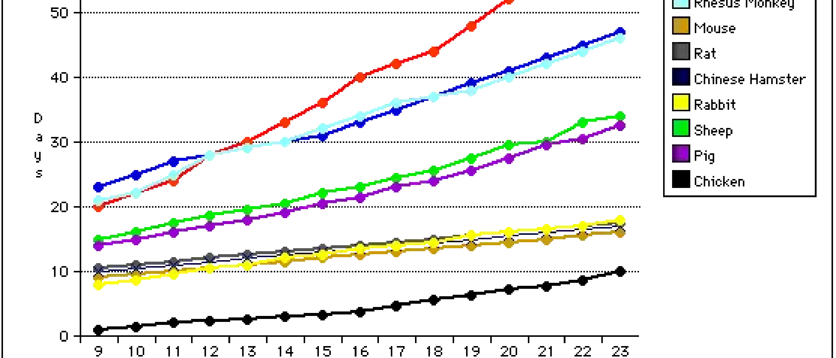 Development - Carnegie Stage Comparison