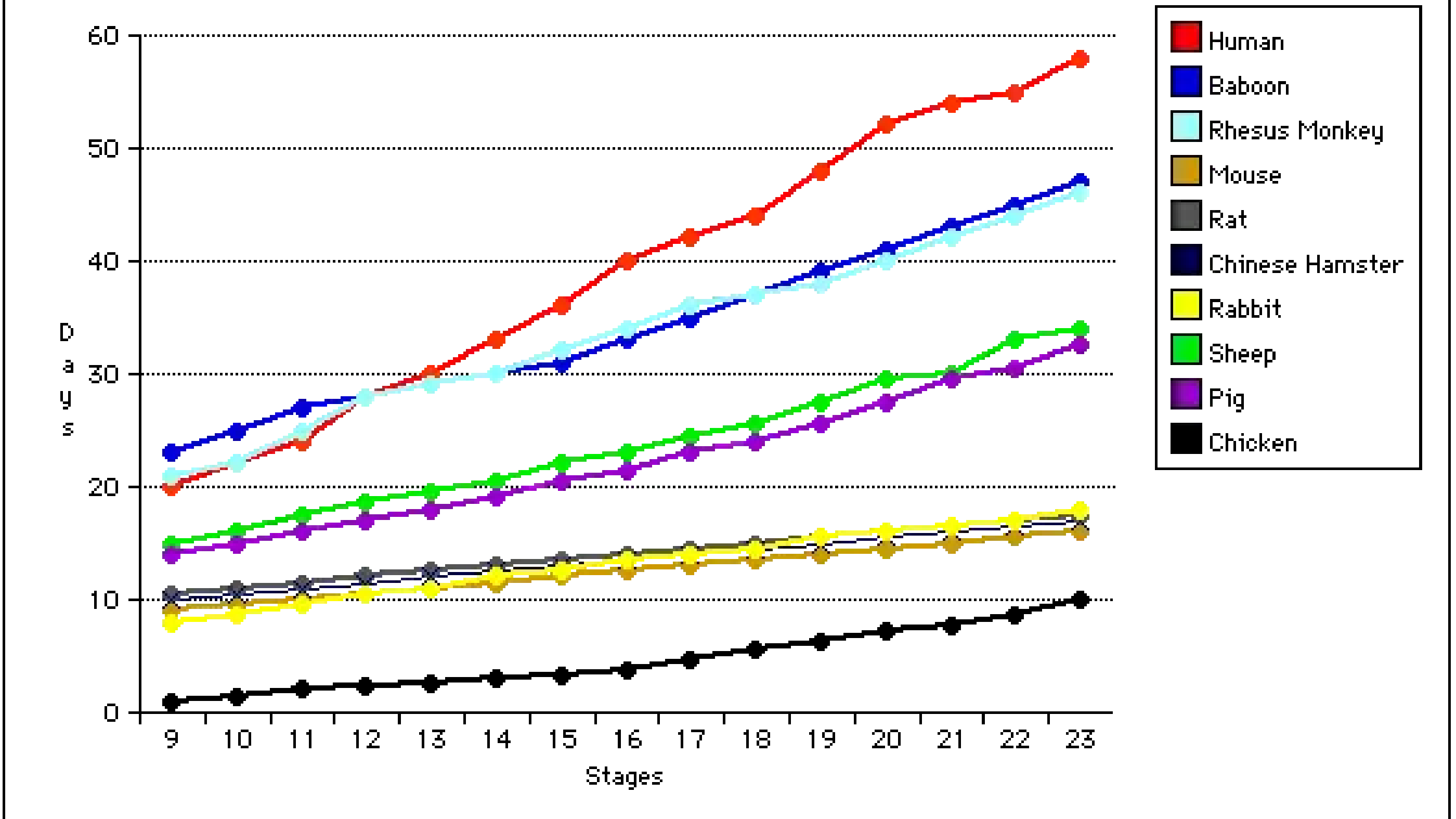 Development - Carnegie Stage Comparison