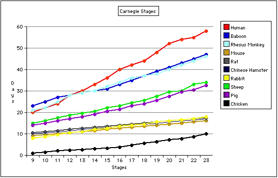 Carnegie Stage Comparison