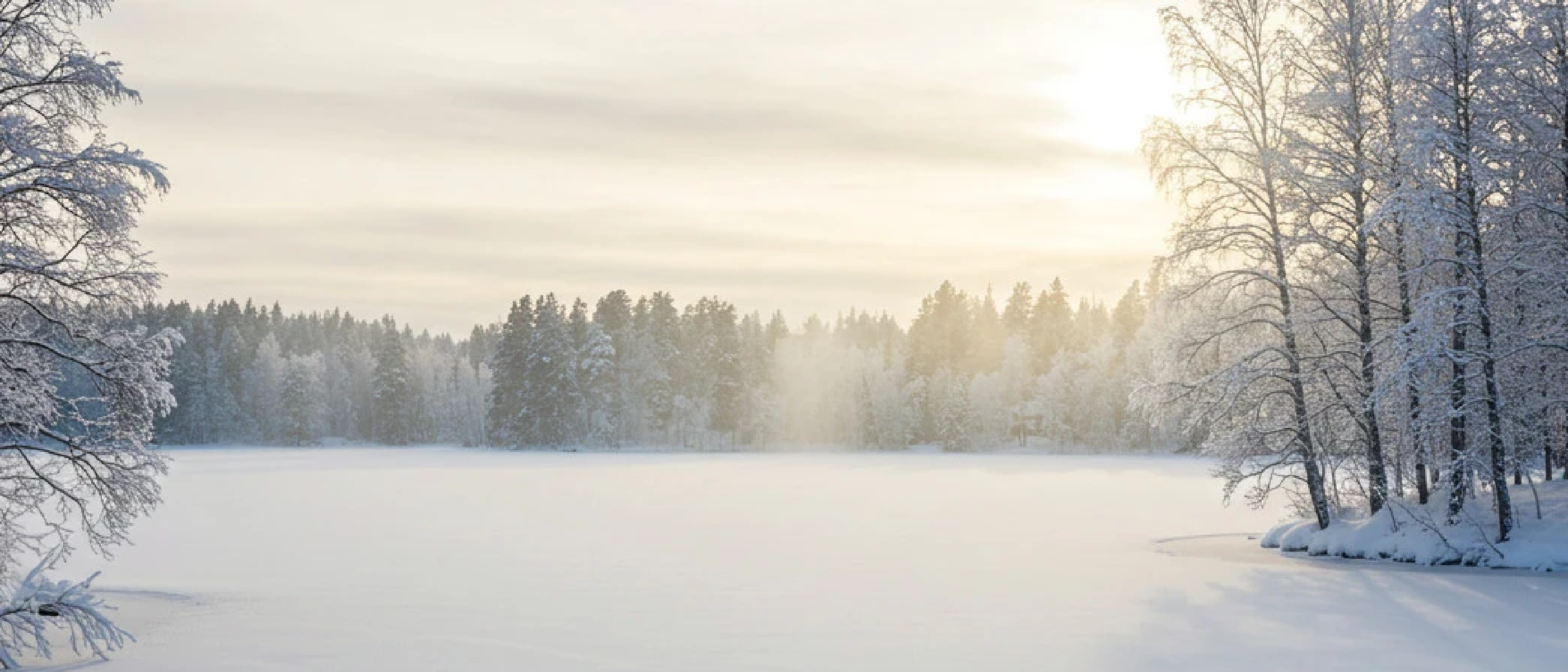 Goodbye Finland