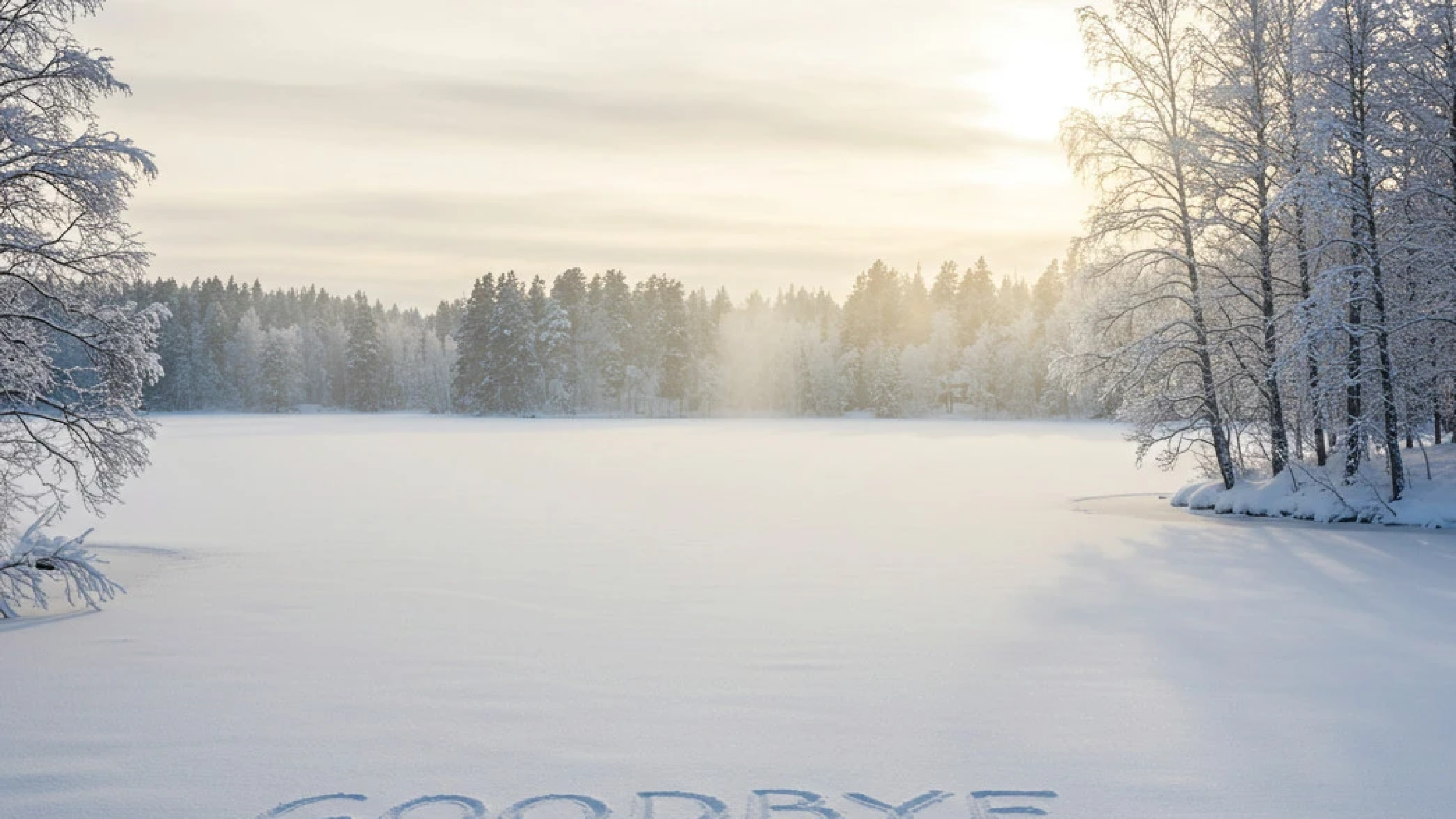 Goodbye Finland