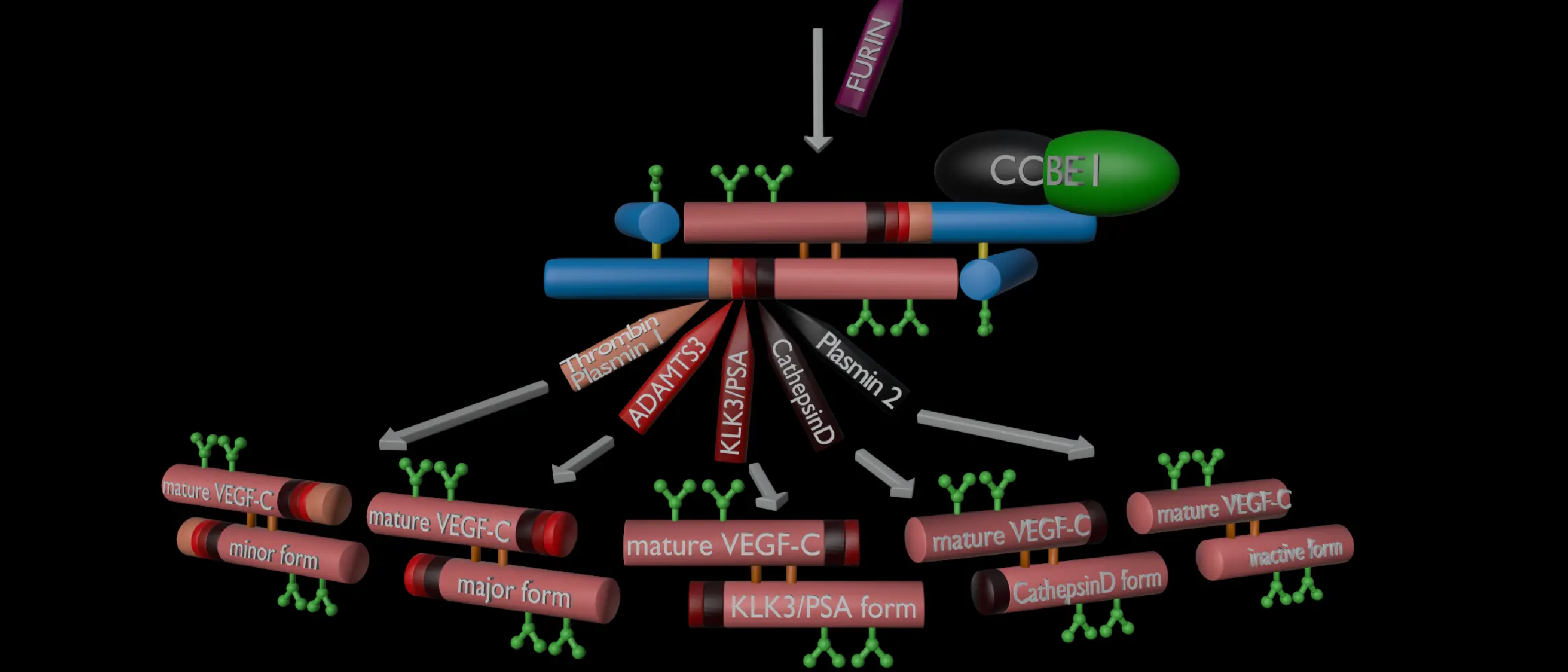 Preprint and Open Review