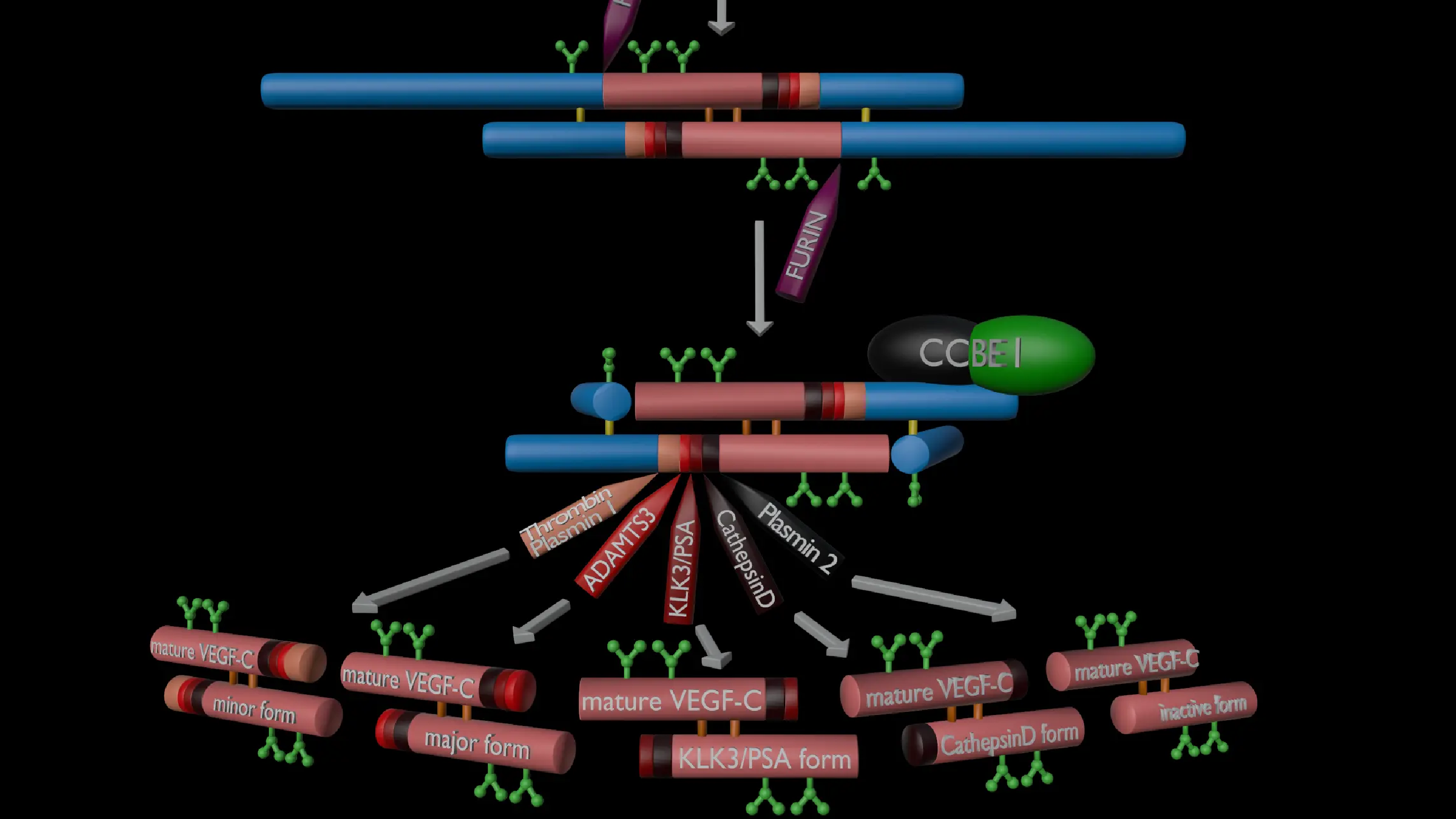 Preprint and Open Review