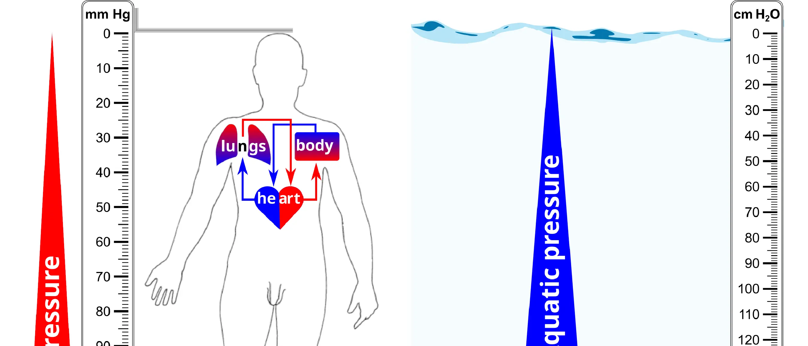 Do fish have difficulty breathing?