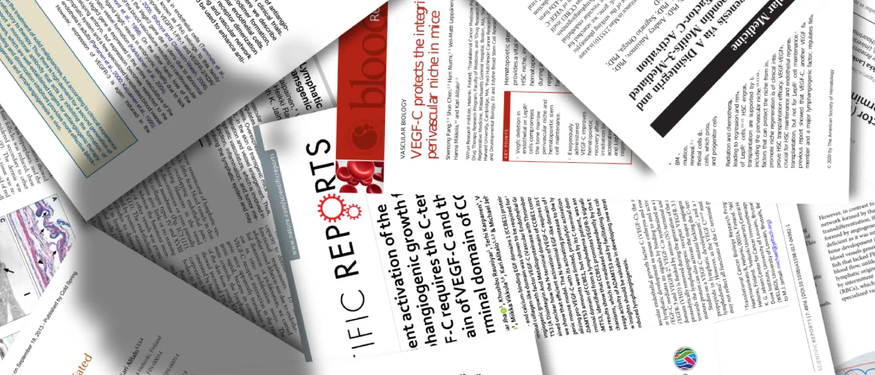 The 12-month embargo falls
