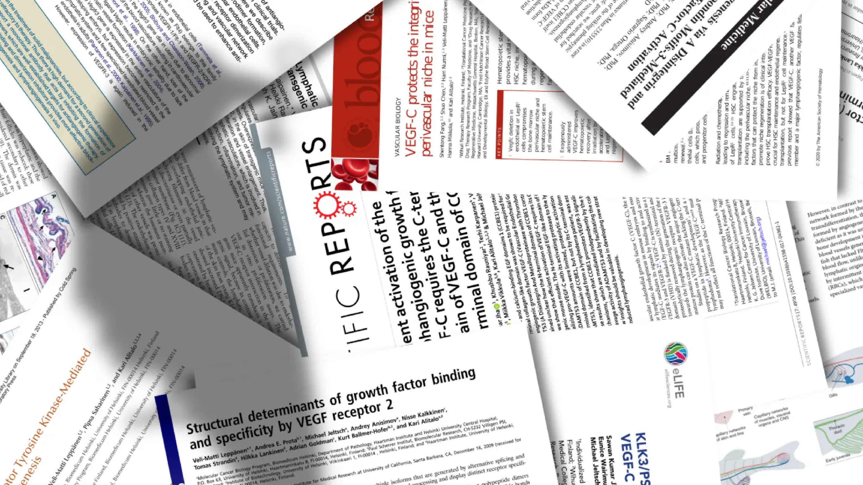 The 12-month embargo falls