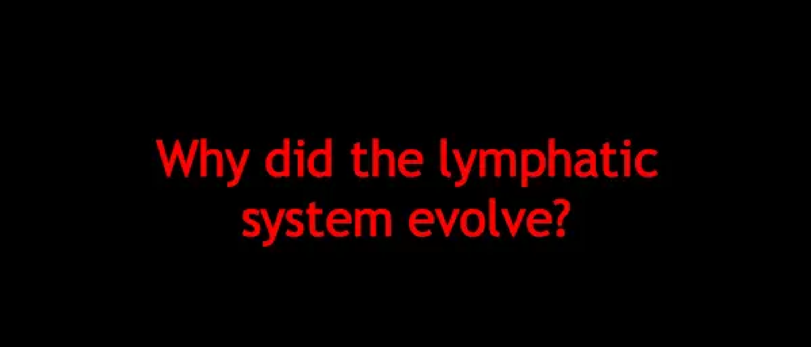 Das Lymphsystem in den verschiedenen Klassen der Wirbeltiere